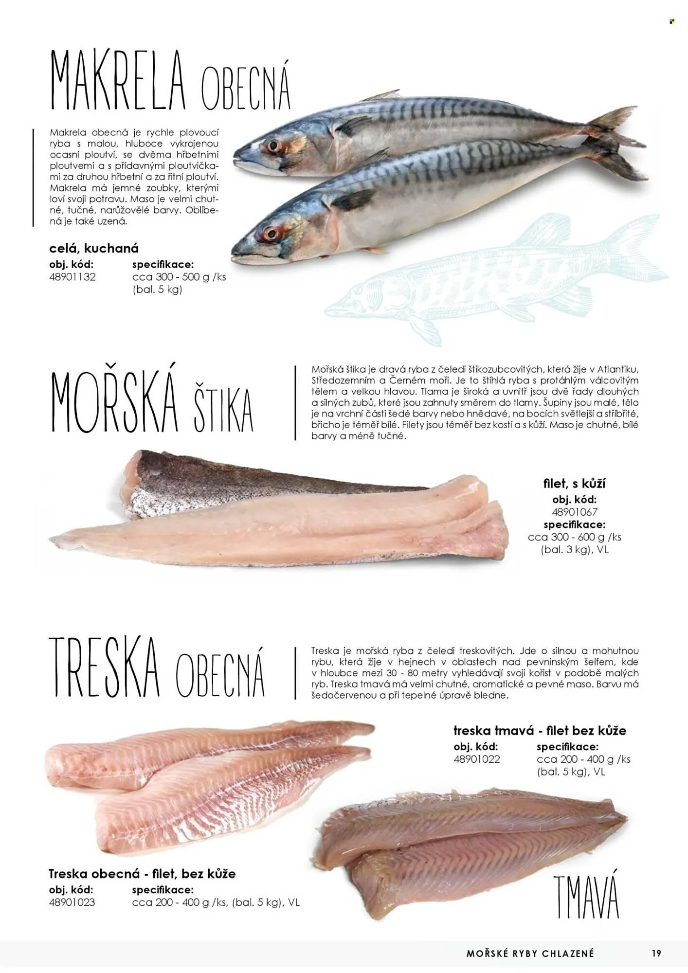 Jip leták - 7. května 31. prosince 2025 - Page 19