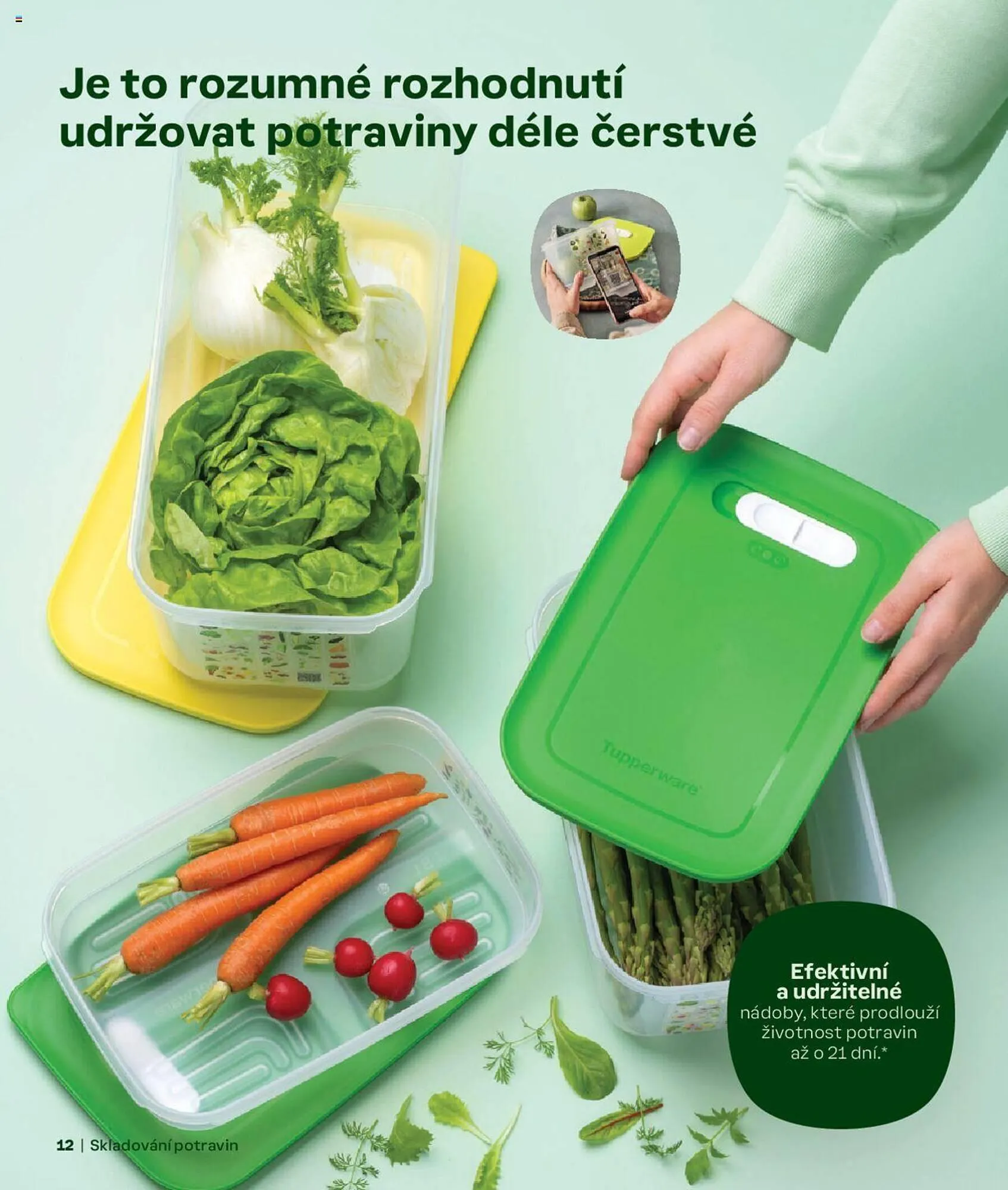 Tupperware leták - 2. září 28. února 2025 - Page 12