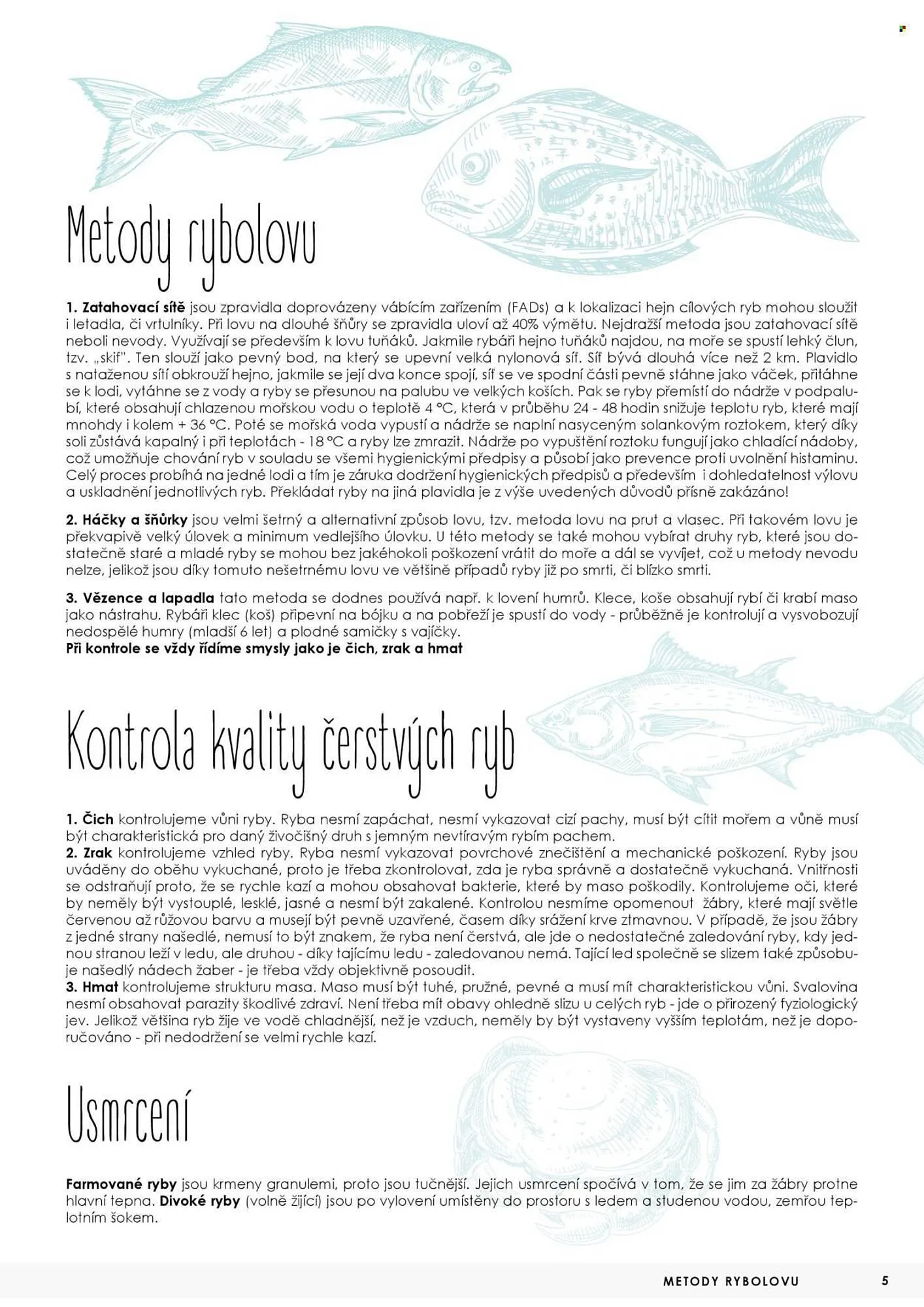 Jip leták - 7. května 31. prosince 2025 - Page 5