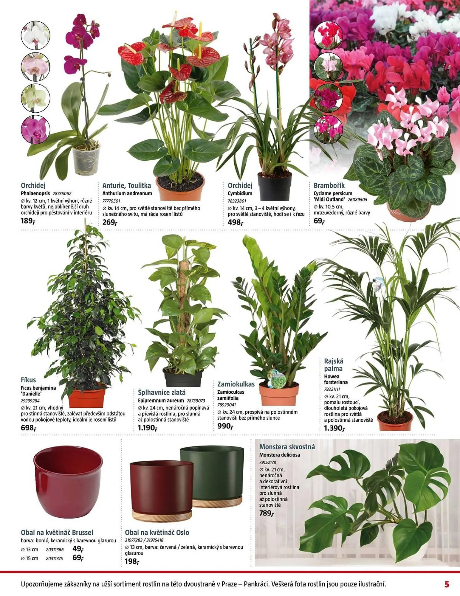 Bauhaus leták - 31. října 4. prosince 2025 - Page 5