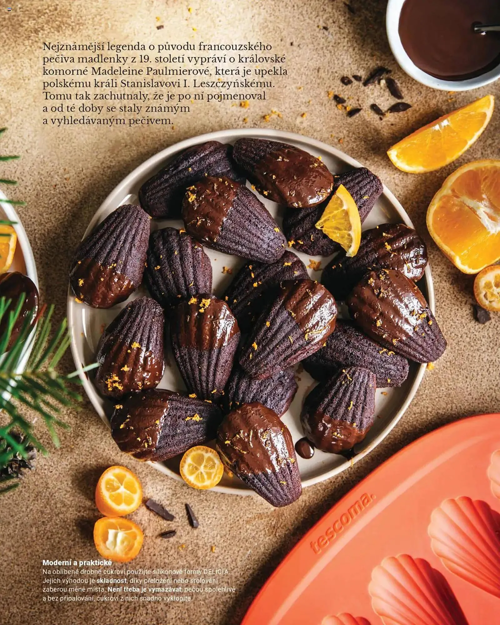 Tescoma leták - 20. října 28. února 2026 - Page 31