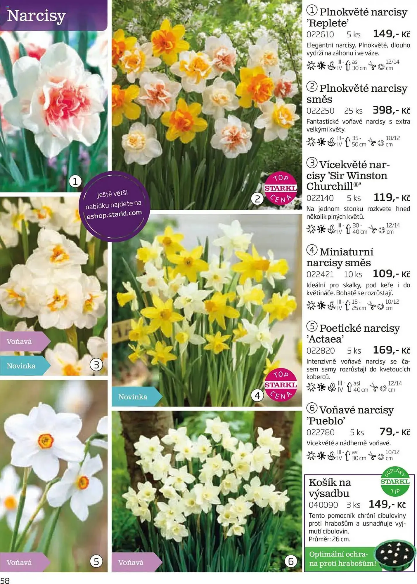 Starkl leták - 1. srpna 30. listopadu 2025 - Page 58