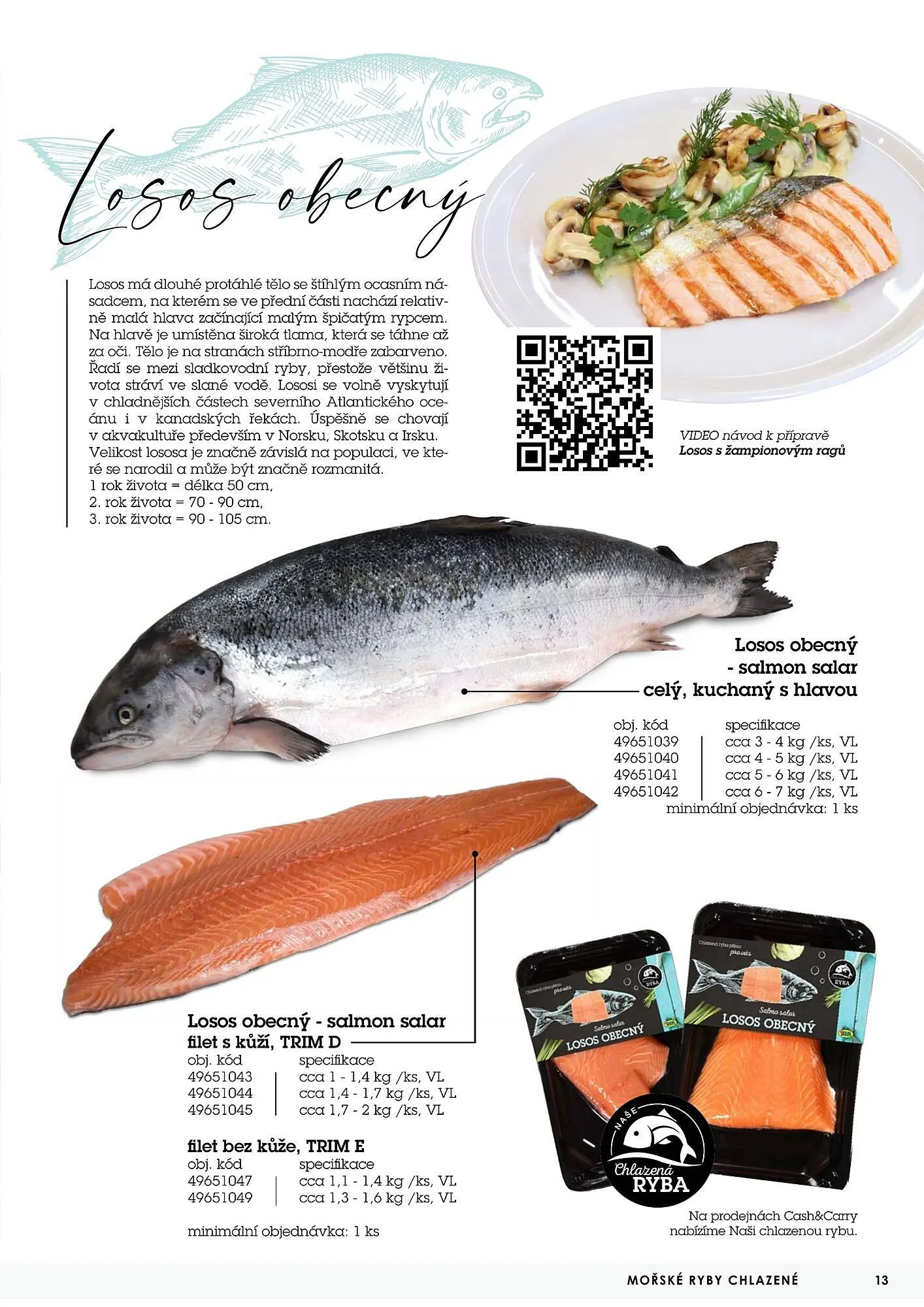 Jip RYBY leták - 22. května 29. prosince 2023 - Page 13