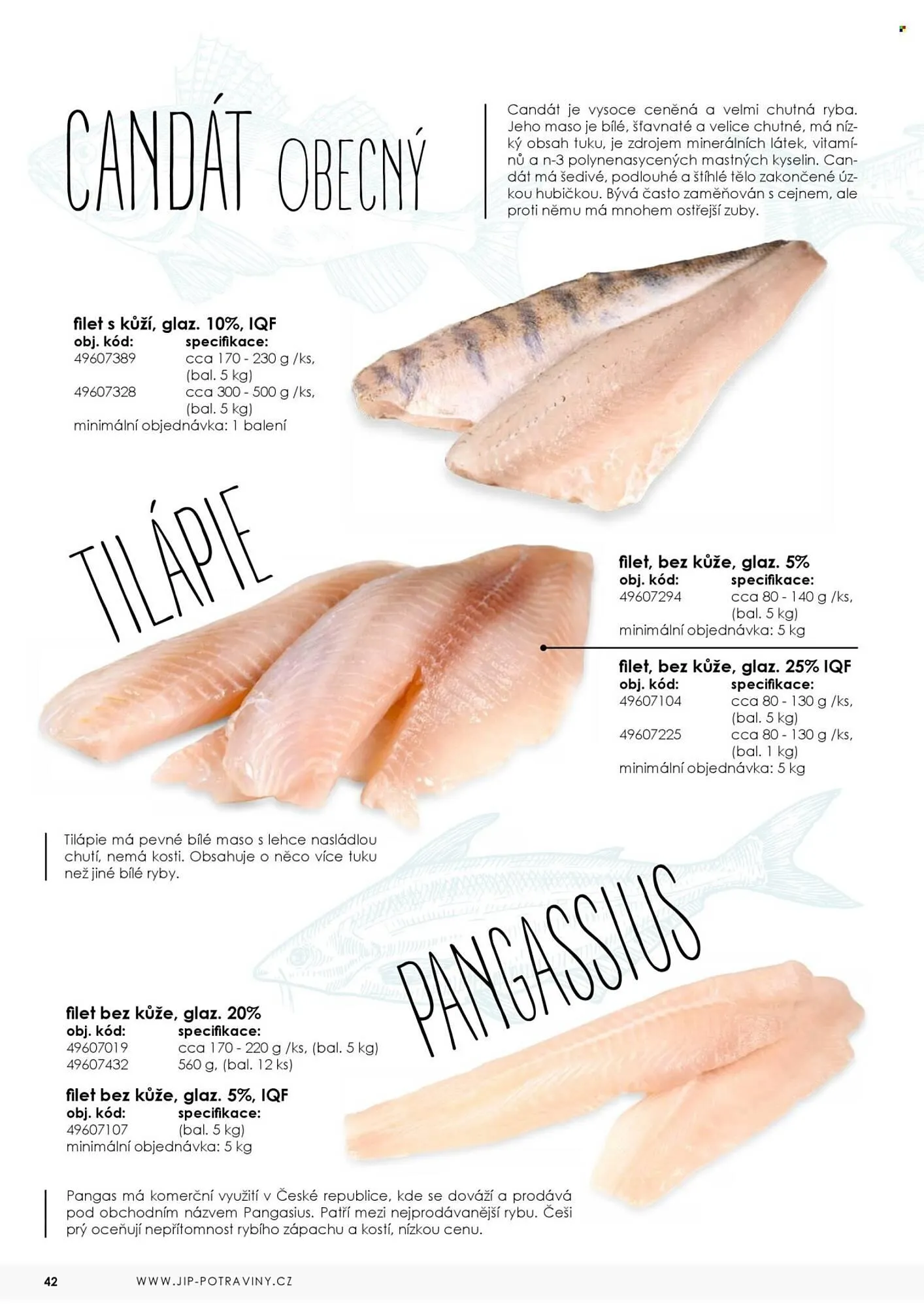 Jip leták - 7. května 31. prosince 2025 - Page 42