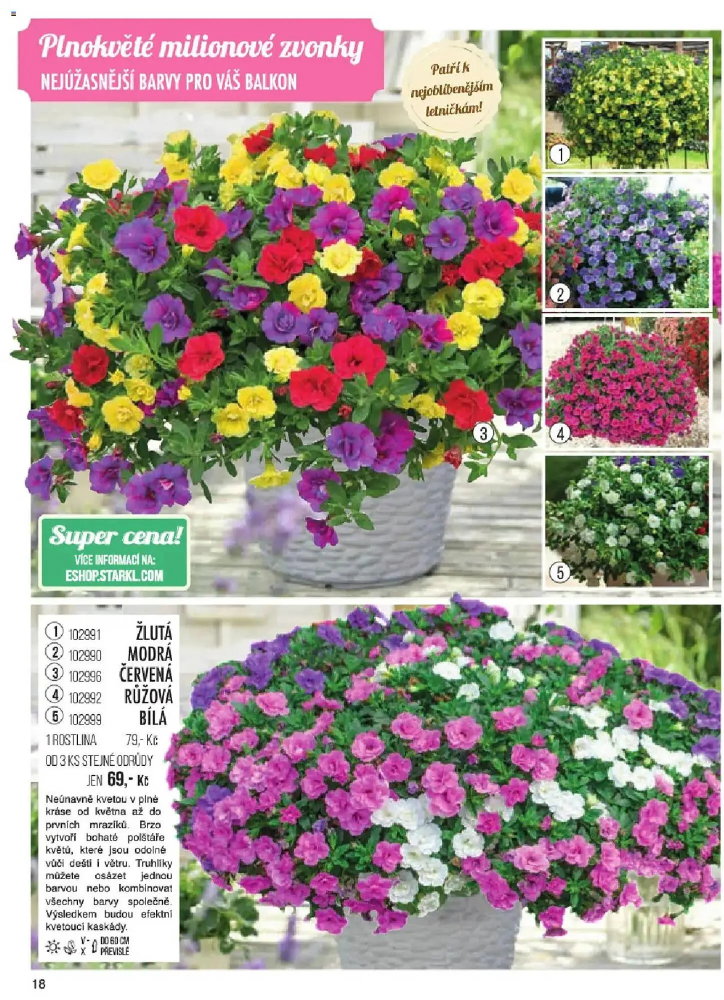 Starkl leták - 6. ledna 31. května 2025 - Page 18