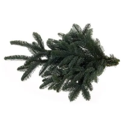 WW Flora Chvojí Jedle Nobilis 0,5 kg