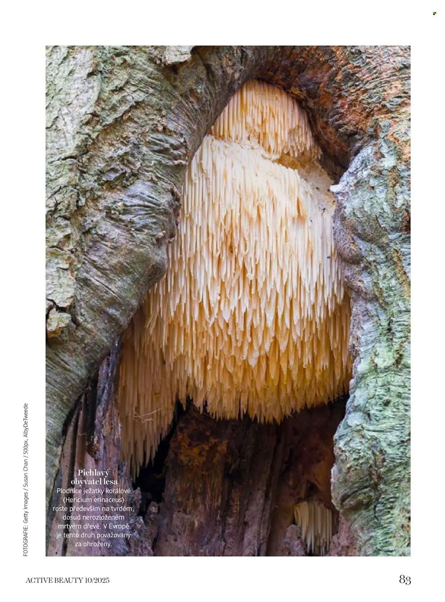 Dm drogerie leták - 10. října 6. listopadu 2025 - Page 83