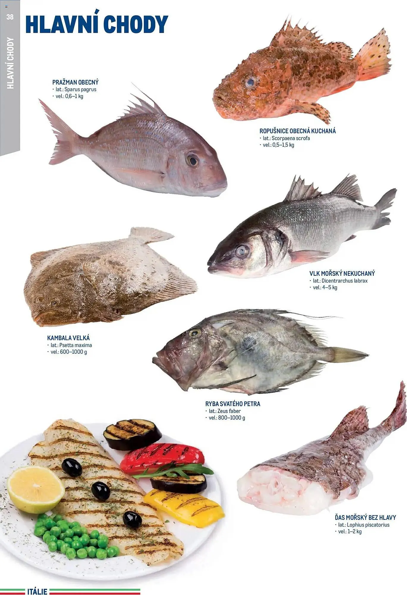 Makro leták - 15. května 31. prosince 2026 - Page 38