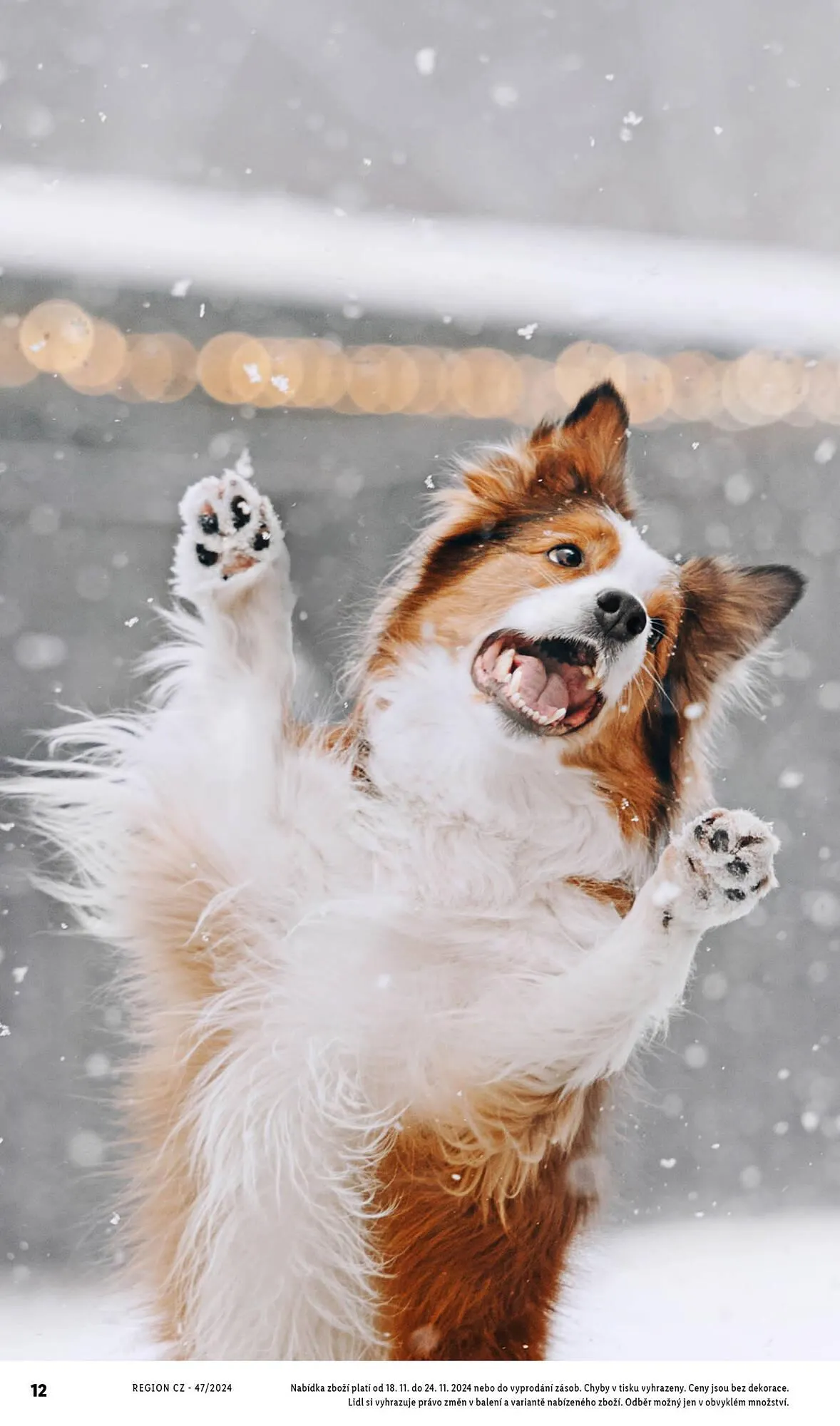 Lidl leták - 18. listopadu 24. listopadu 2024 - Page 12