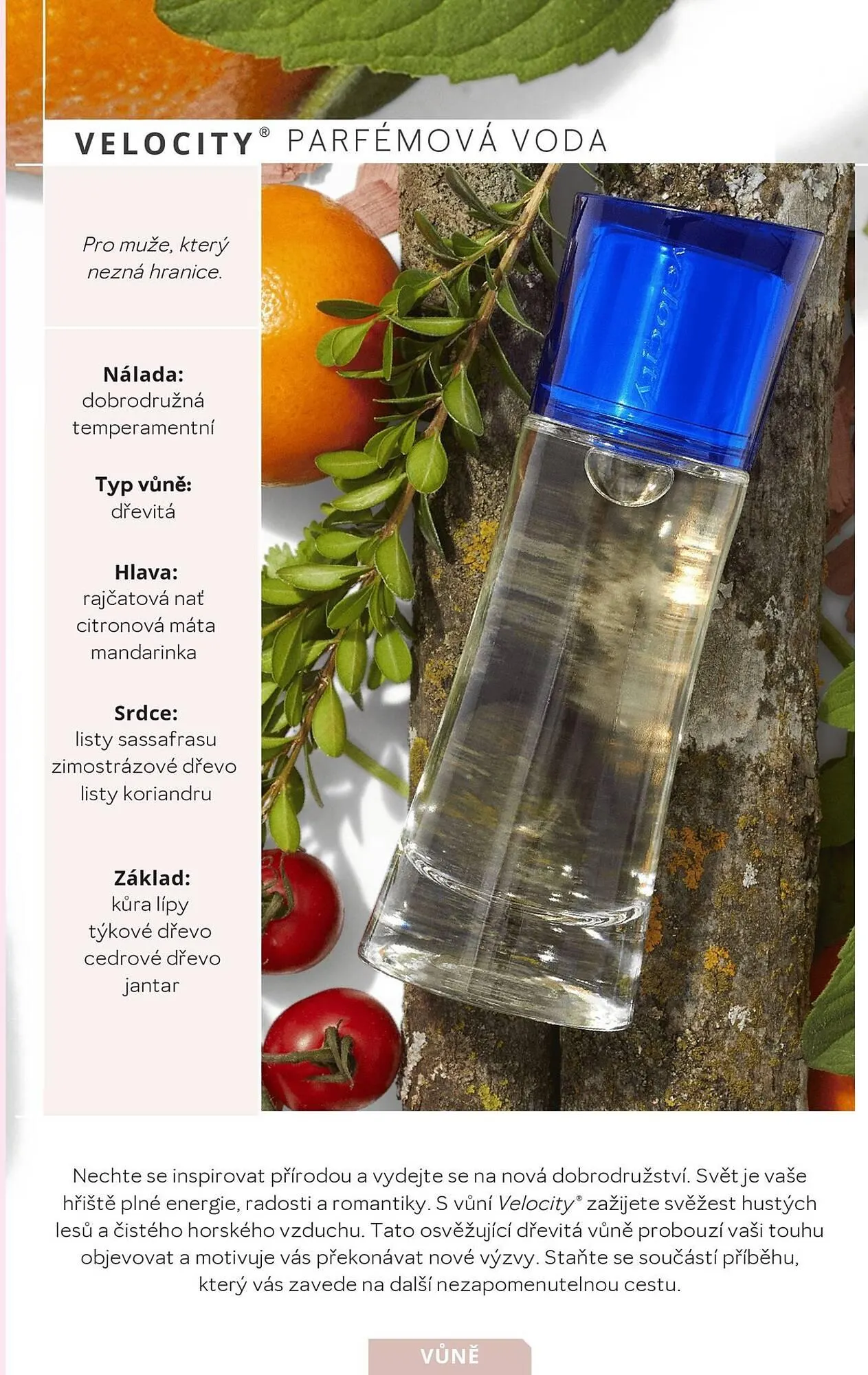 Mary Kay leták - 10. prosince 21. ledna 2025 - Page 27