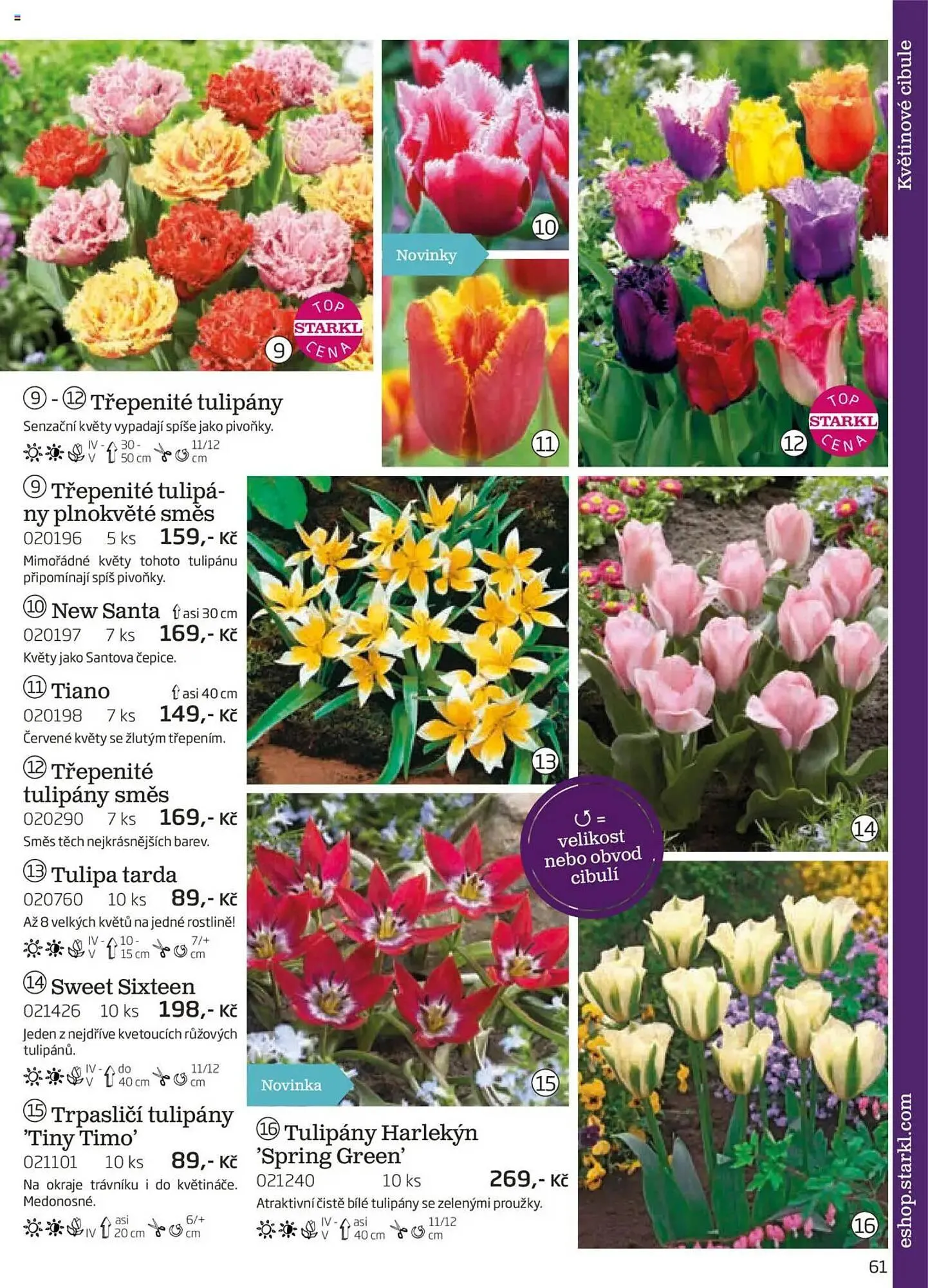 Starkl leták - 1. srpna 30. listopadu 2025 - Page 61