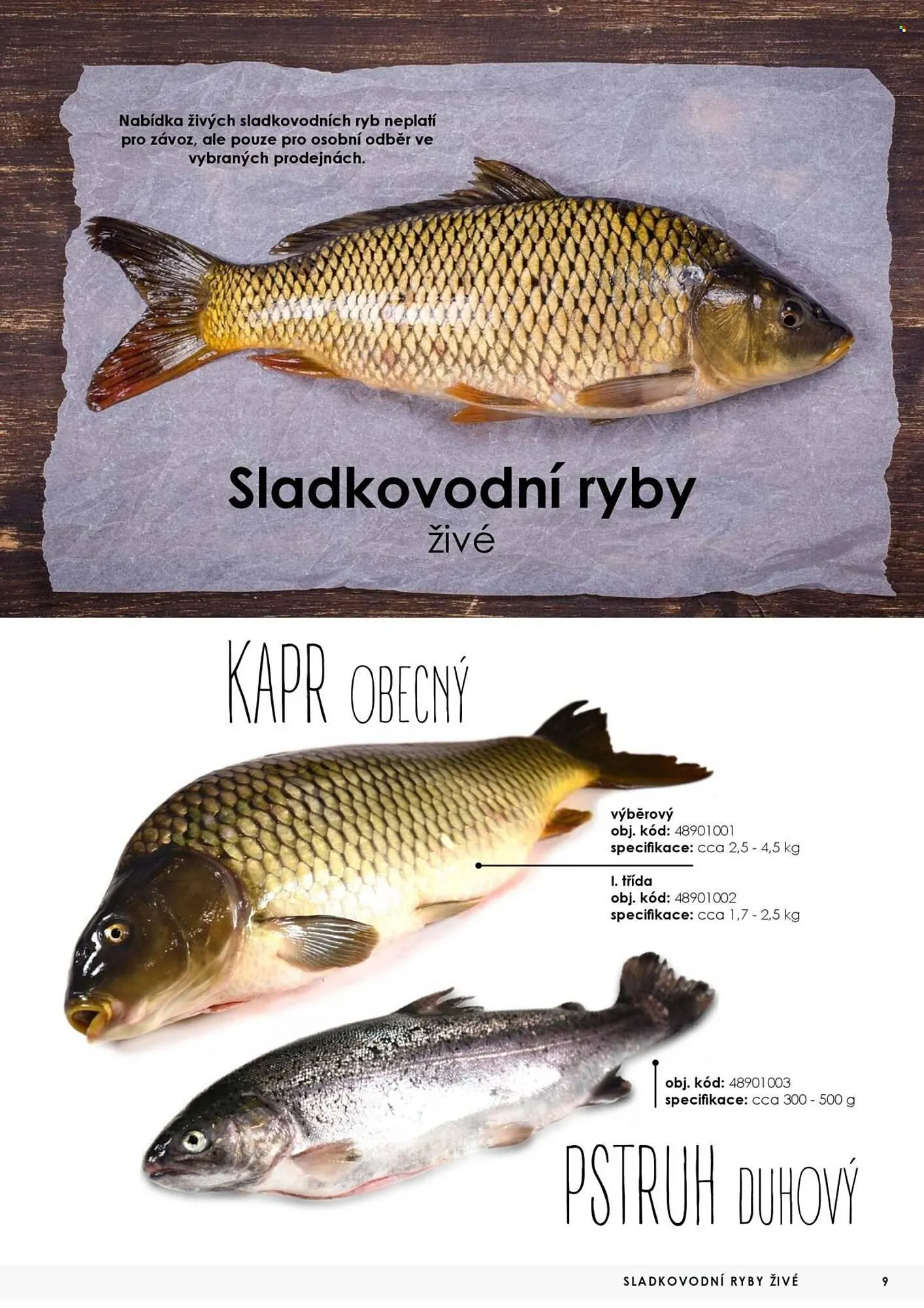 Jip leták - 7. května 31. prosince 2025 - Page 9