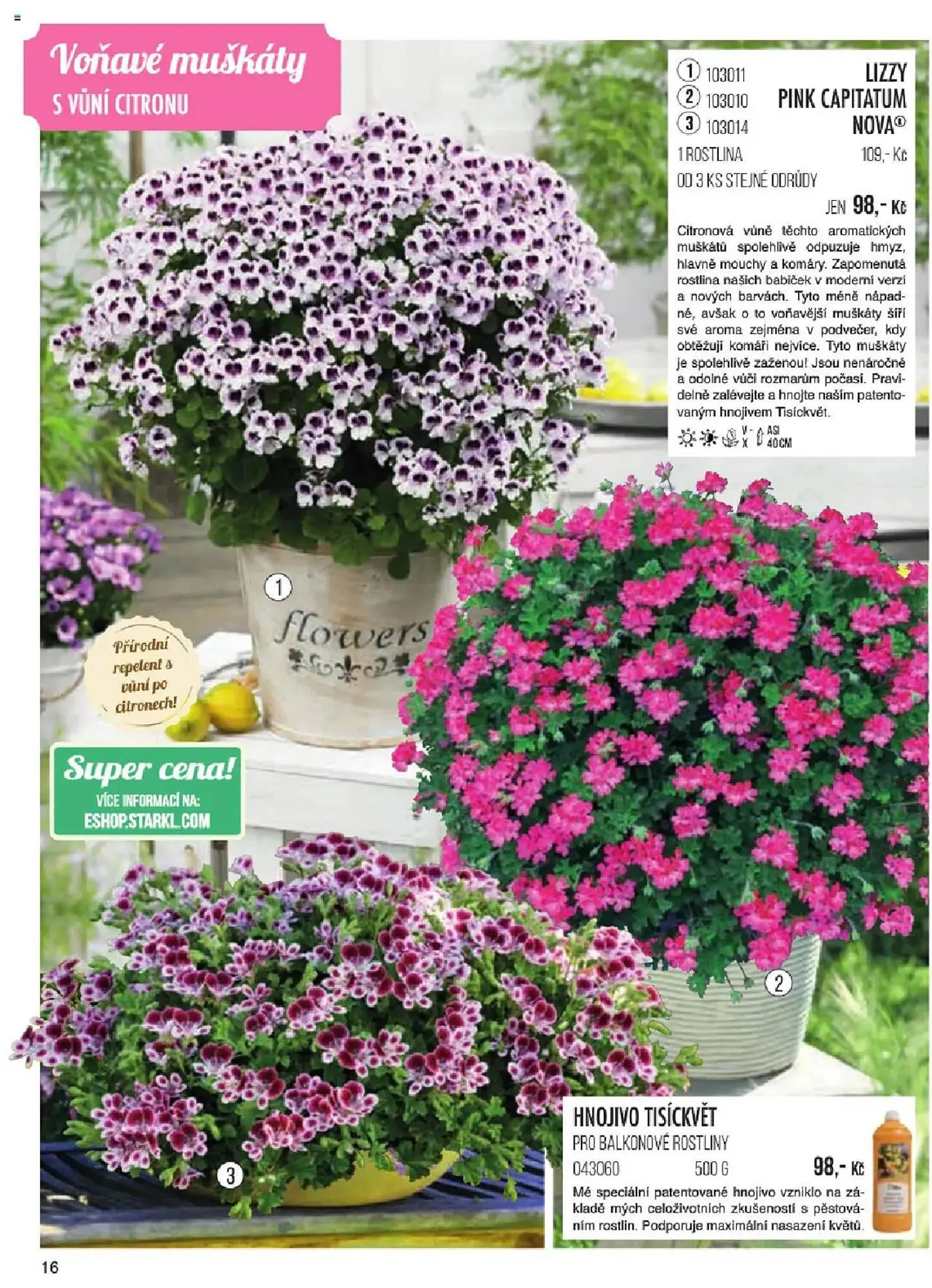 Starkl leták - 6. ledna 31. května 2025 - Page 16