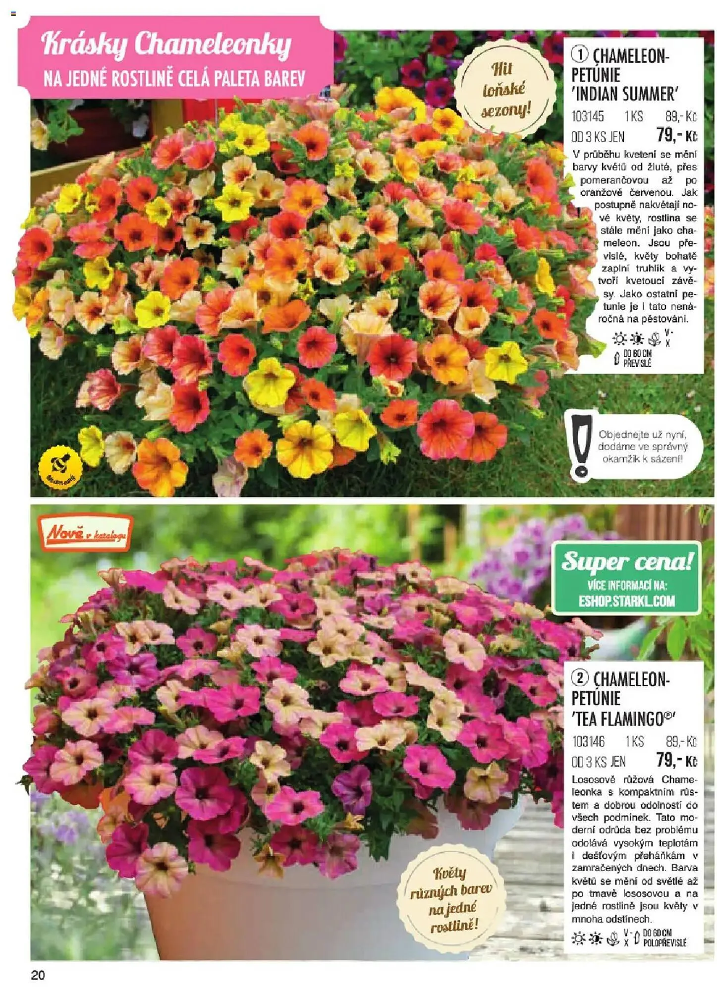Starkl leták - 6. ledna 31. května 2025 - Page 20