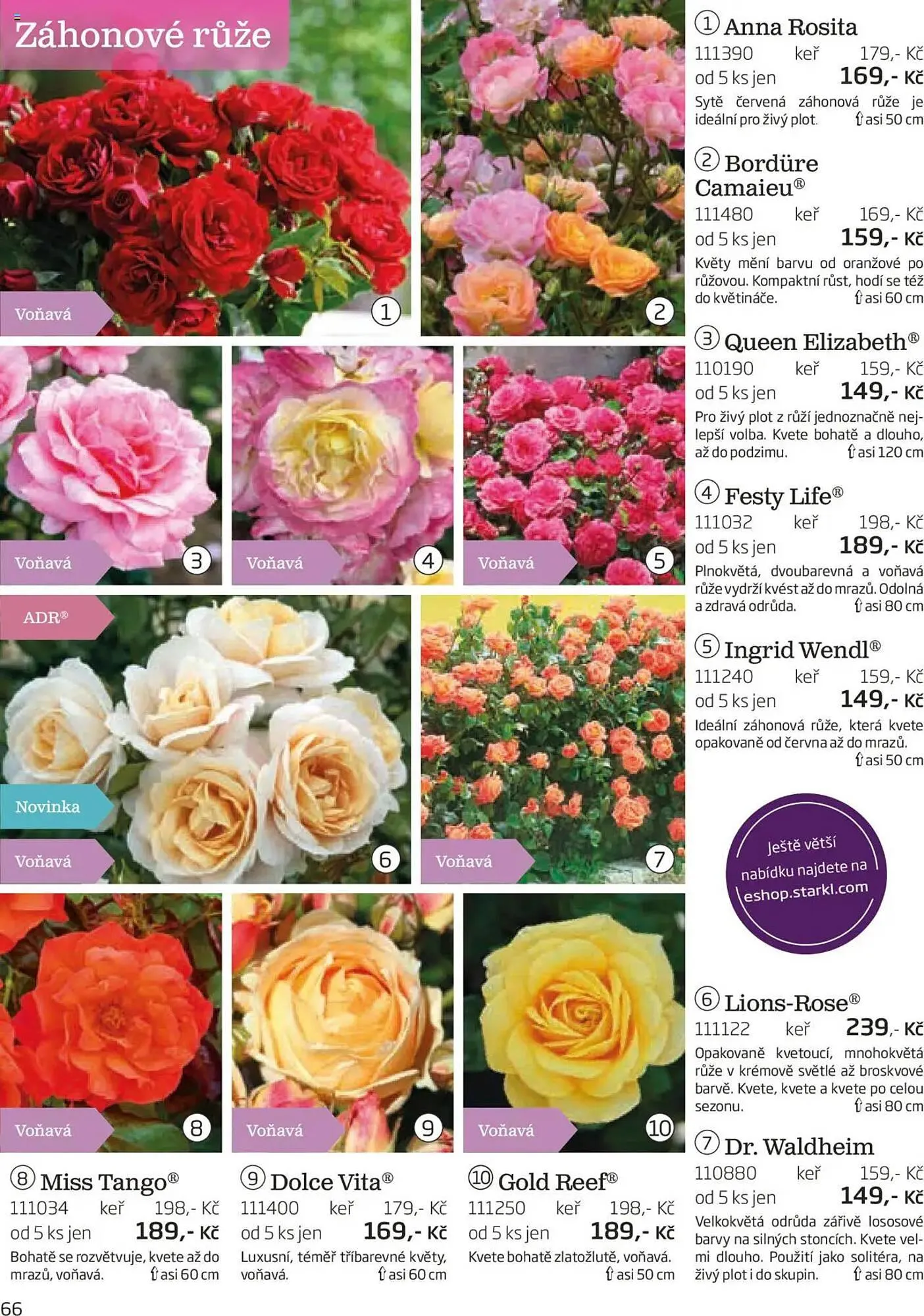Starkl leták - 1. srpna 30. listopadu 2025 - Page 66
