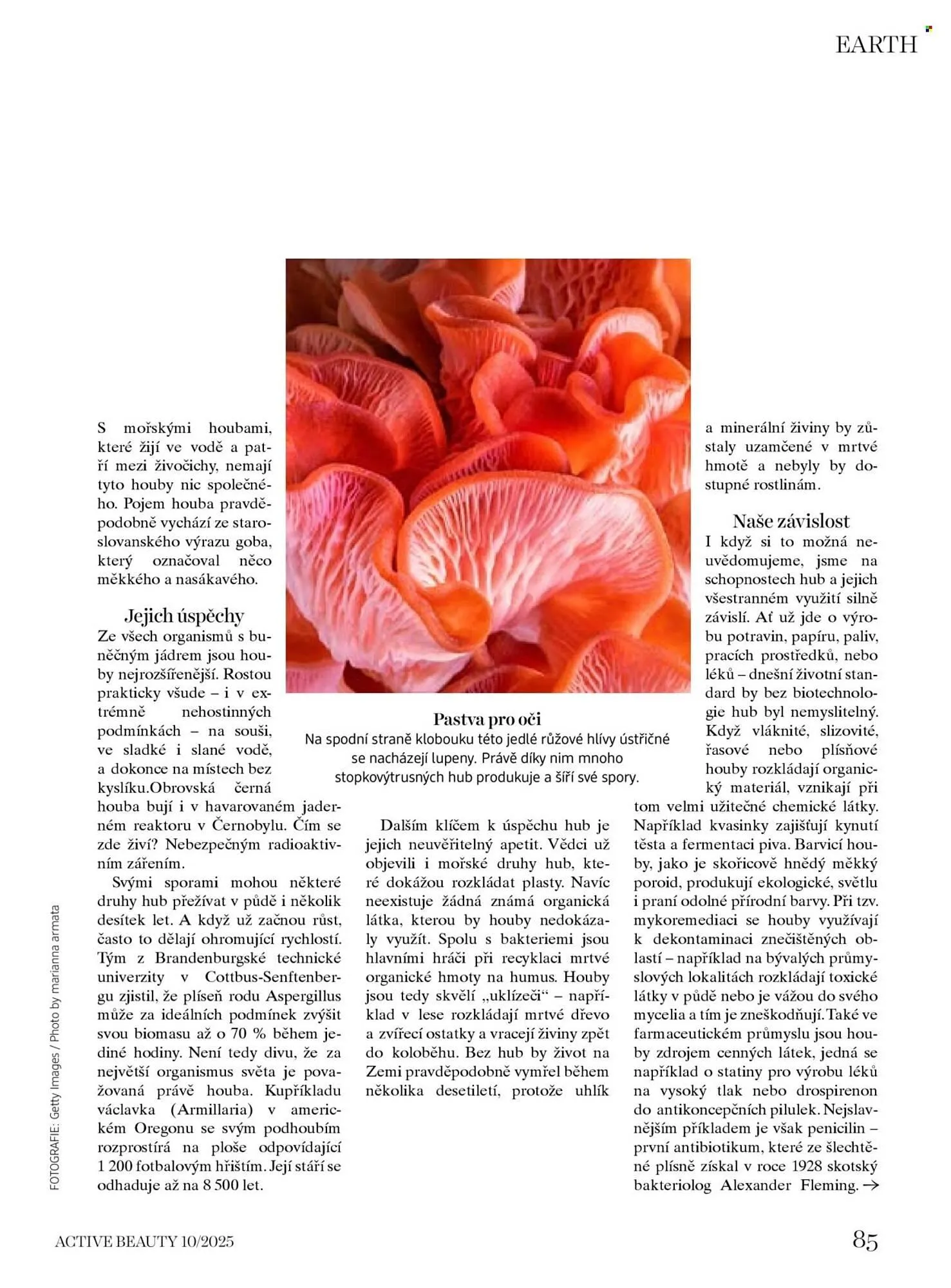 Dm drogerie leták - 10. října 6. listopadu 2025 - Page 85