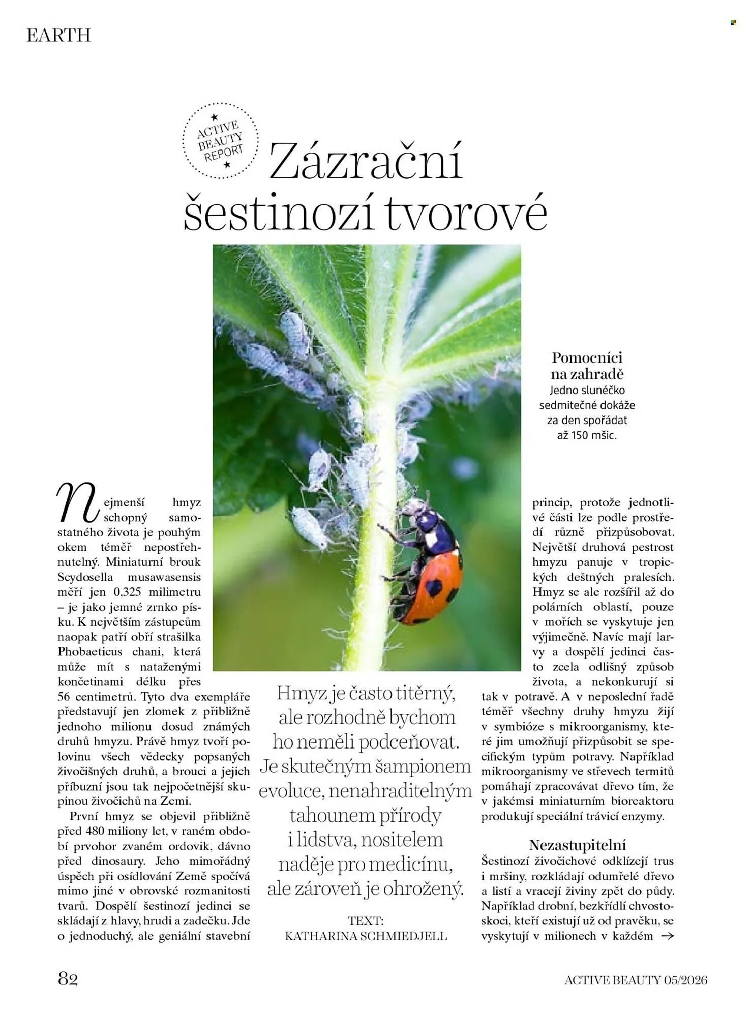 Dm drogerie leták - 7. května 4. června 2026 - Page 82