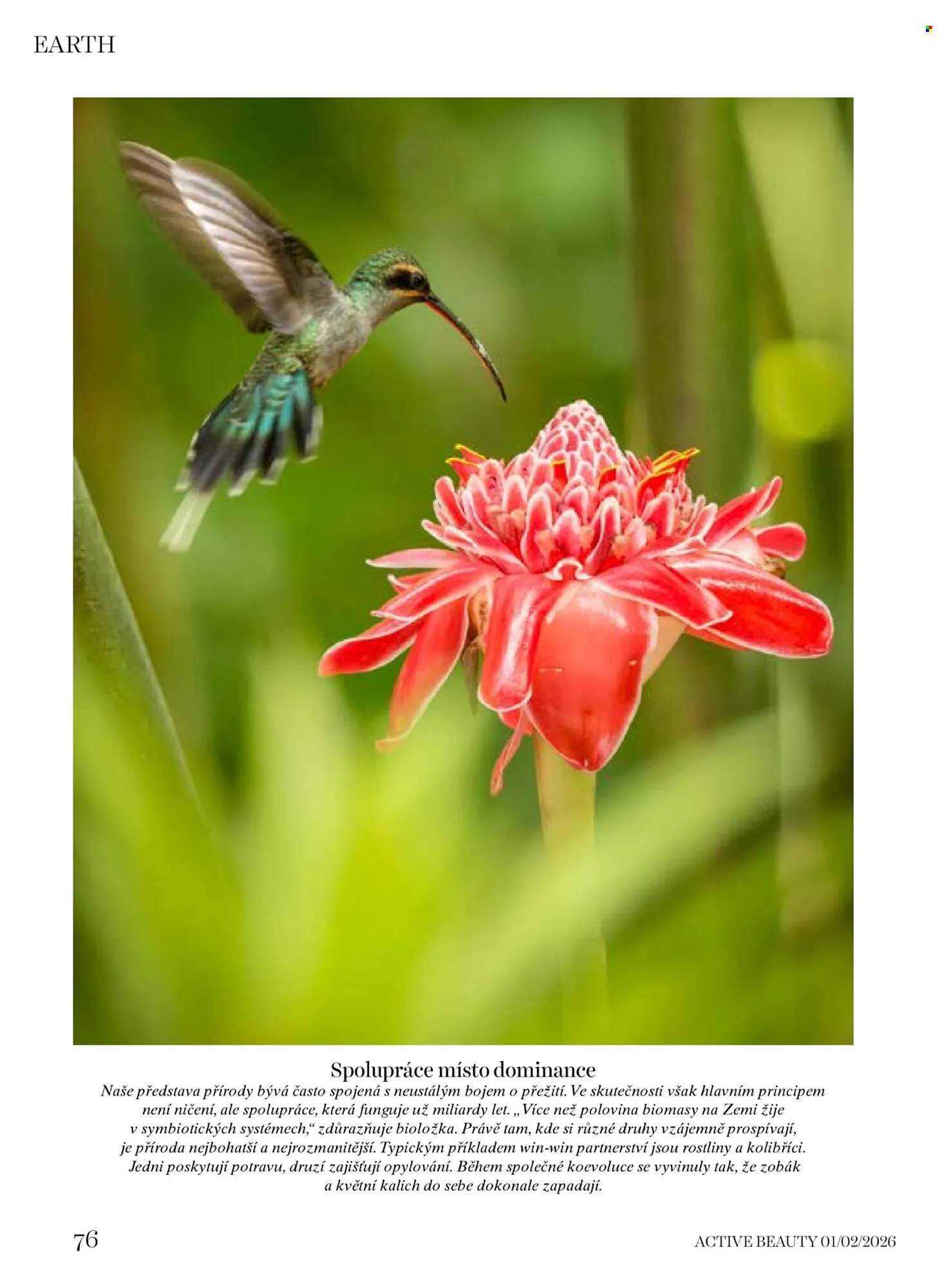 Dm drogerie leták - 16. ledna 5. března 2026 - Page 76