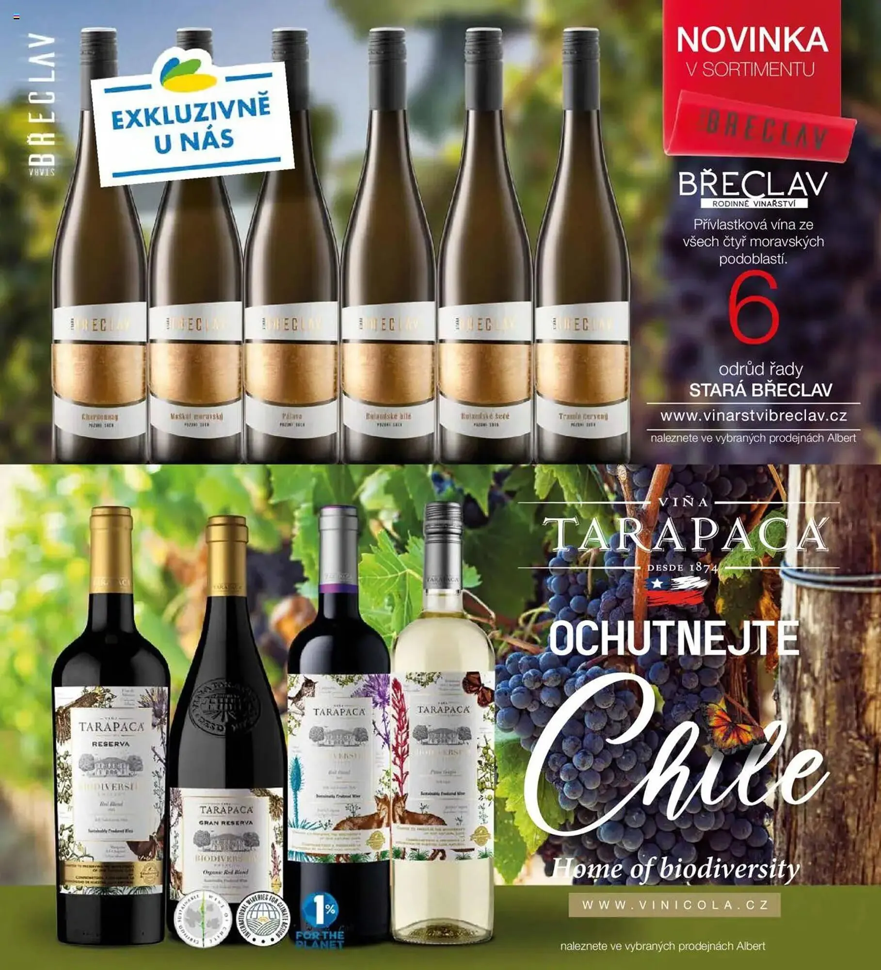 Albert leták - 1. března 31. března 2025 - Page 63