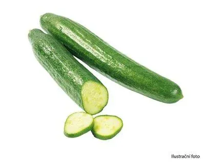 Okurka salátová