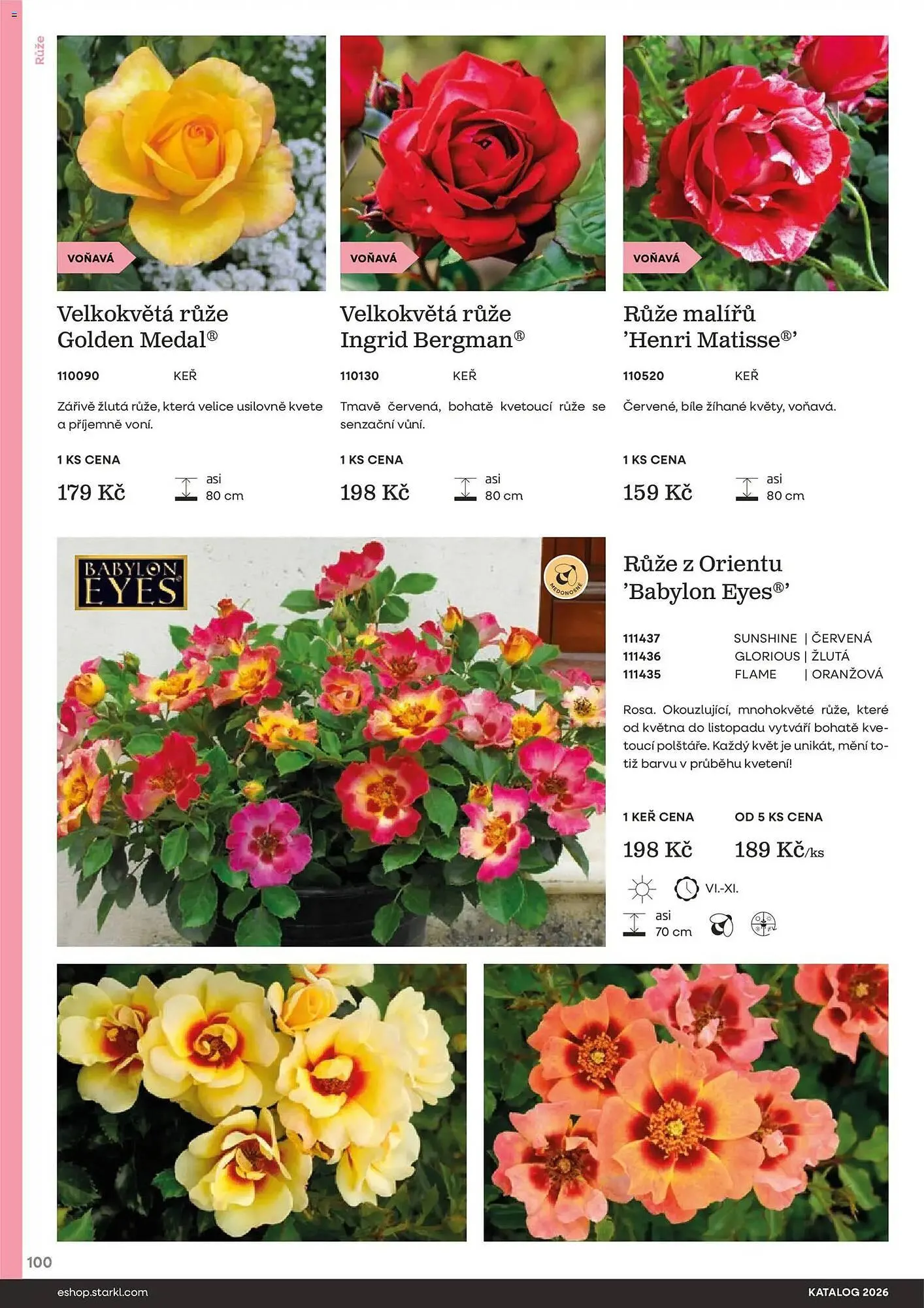 Starkl katalog - 25. února 31. prosince 2026 - Page 100