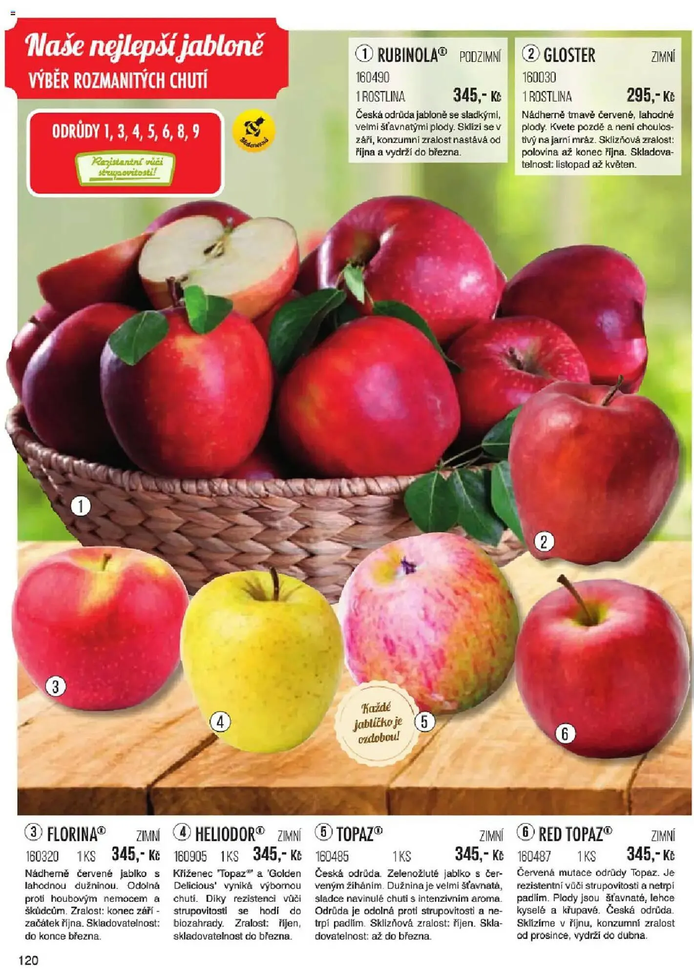 Starkl leták - 6. ledna 31. května 2025 - Page 120