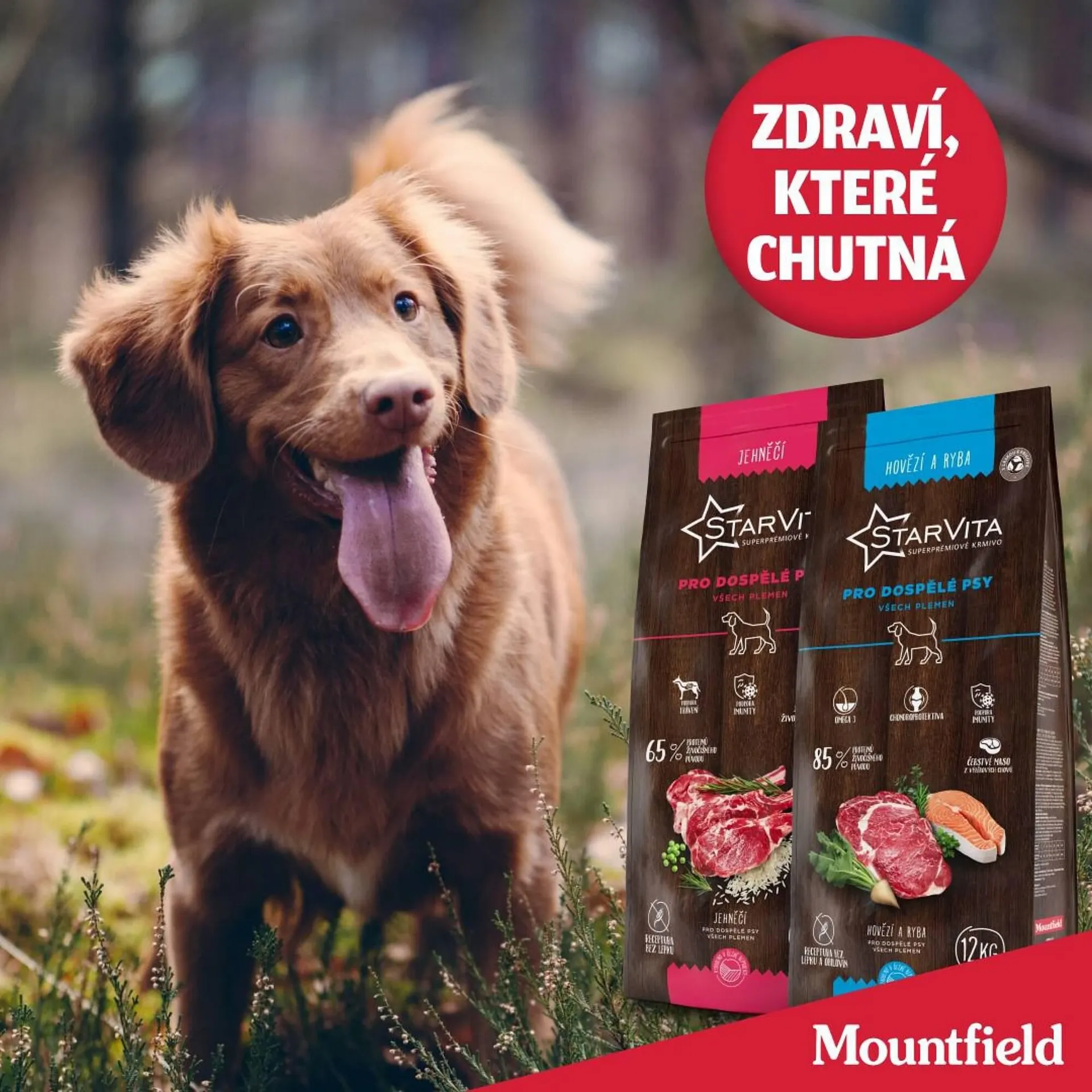 Mountfield leták - 28. října 3. listopadu 2024 - Page 1