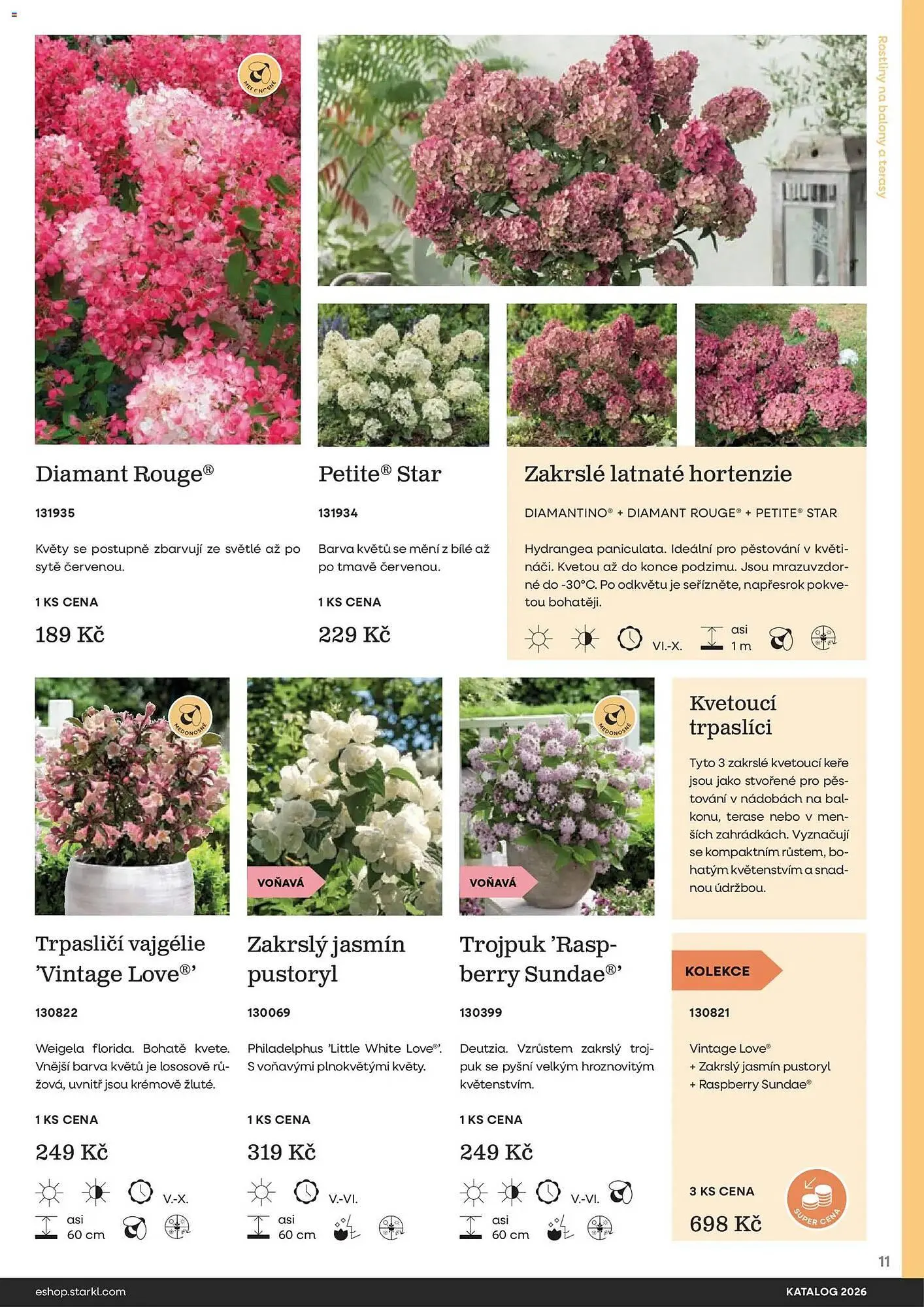Starkl katalog - 25. února 31. prosince 2026 - Page 11