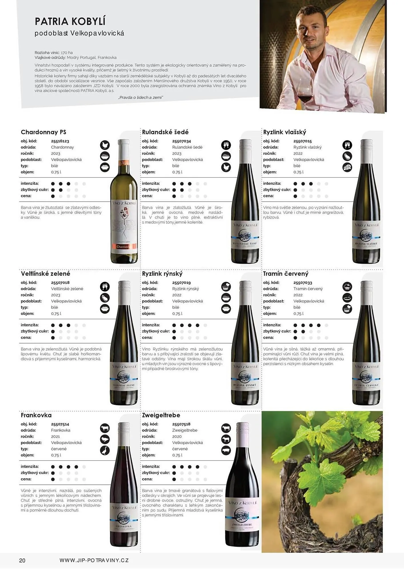 Jip leták - 9. března 31. prosince 2025 - Page 22