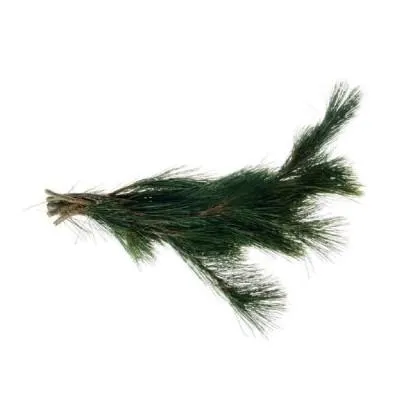 Svazek větví Borovice vejmutovka 500 g