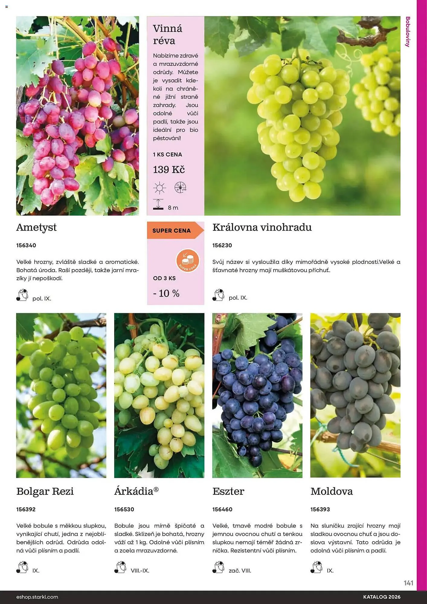 Starkl katalog - 25. února 31. prosince 2026 - Page 141
