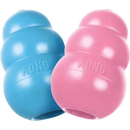 KONG Puppy M