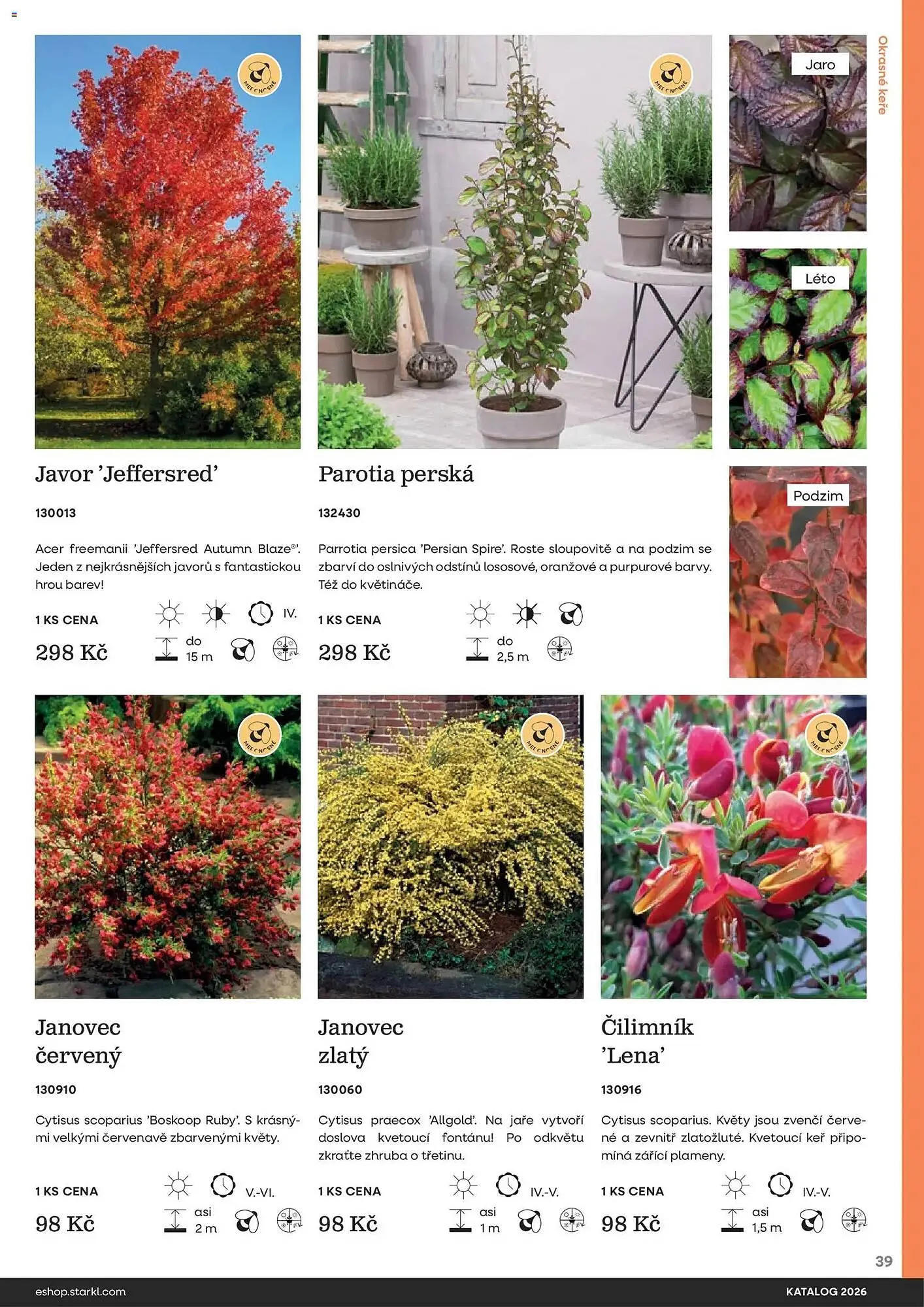Starkl katalog - 25. února 31. prosince 2026 - Page 39