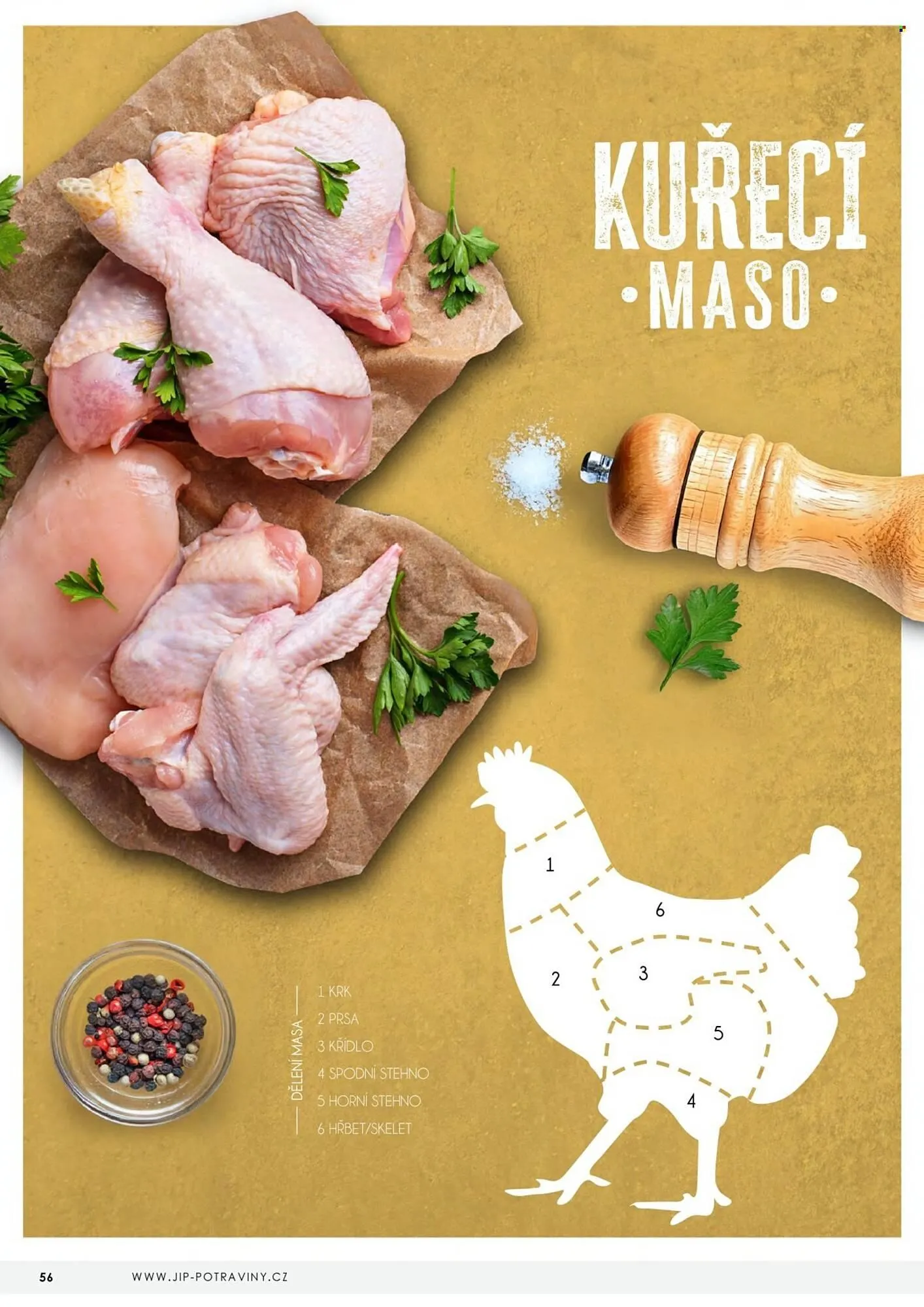 Jip leták - 23. dubna 31. prosince 2026 - Page 56
