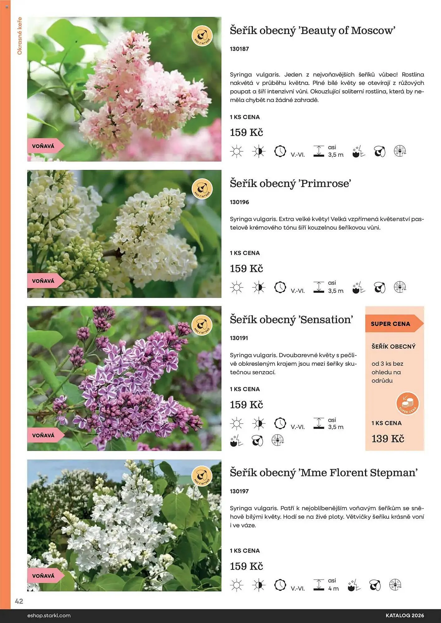Starkl katalog - 25. února 31. prosince 2026 - Page 42