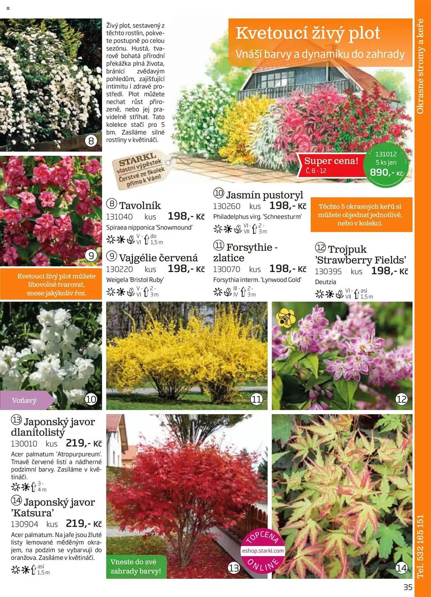 Starkl leták - 1. srpna 30. listopadu 2025 - Page 35