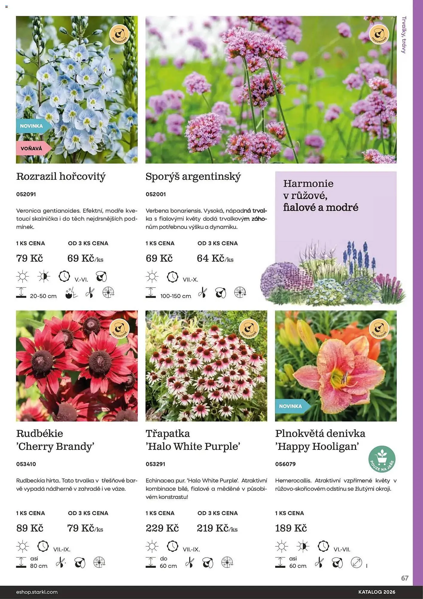 Starkl katalog - 25. února 31. prosince 2026 - Page 67