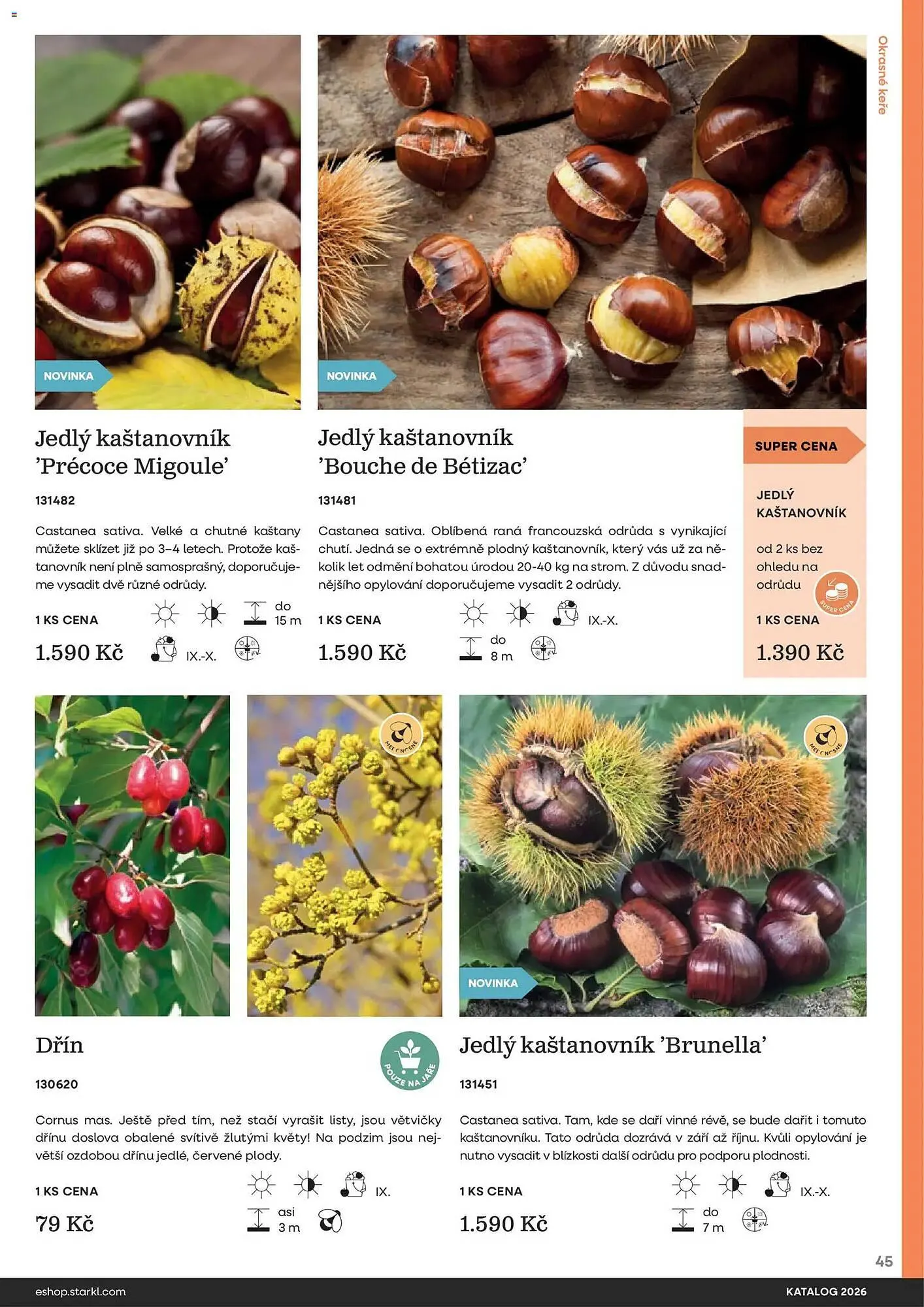 Starkl katalog - 25. února 31. prosince 2026 - Page 45