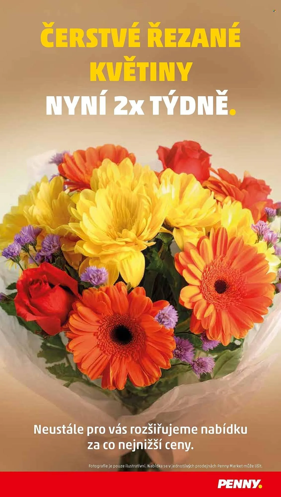 Penny Market leták - 4. prosince 10. prosince 2025 - Page 37
