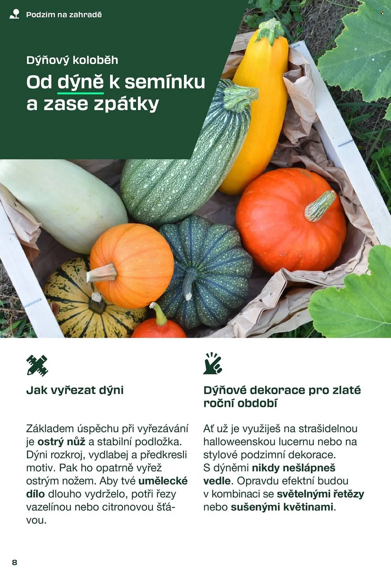 Lidl leták - 30. srpna 30. listopadu 2025 - Page 8