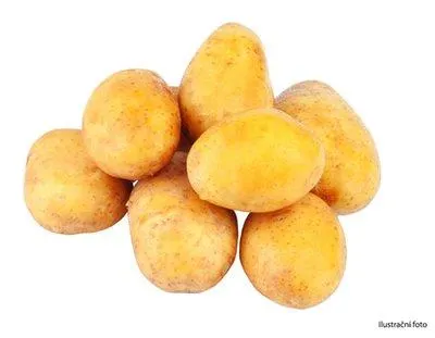 Česká Farma Brambory pozdní