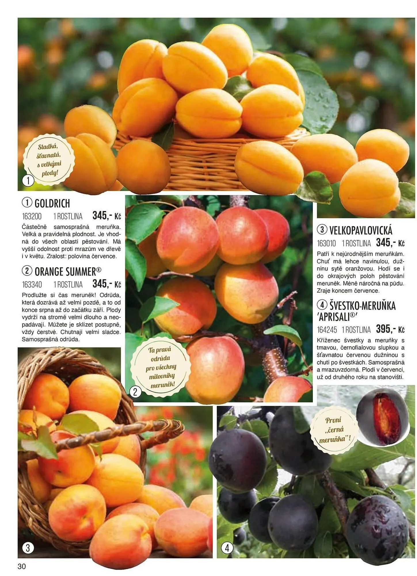 Starkl leták - 1. září 30. listopadu 2024 - Page 30