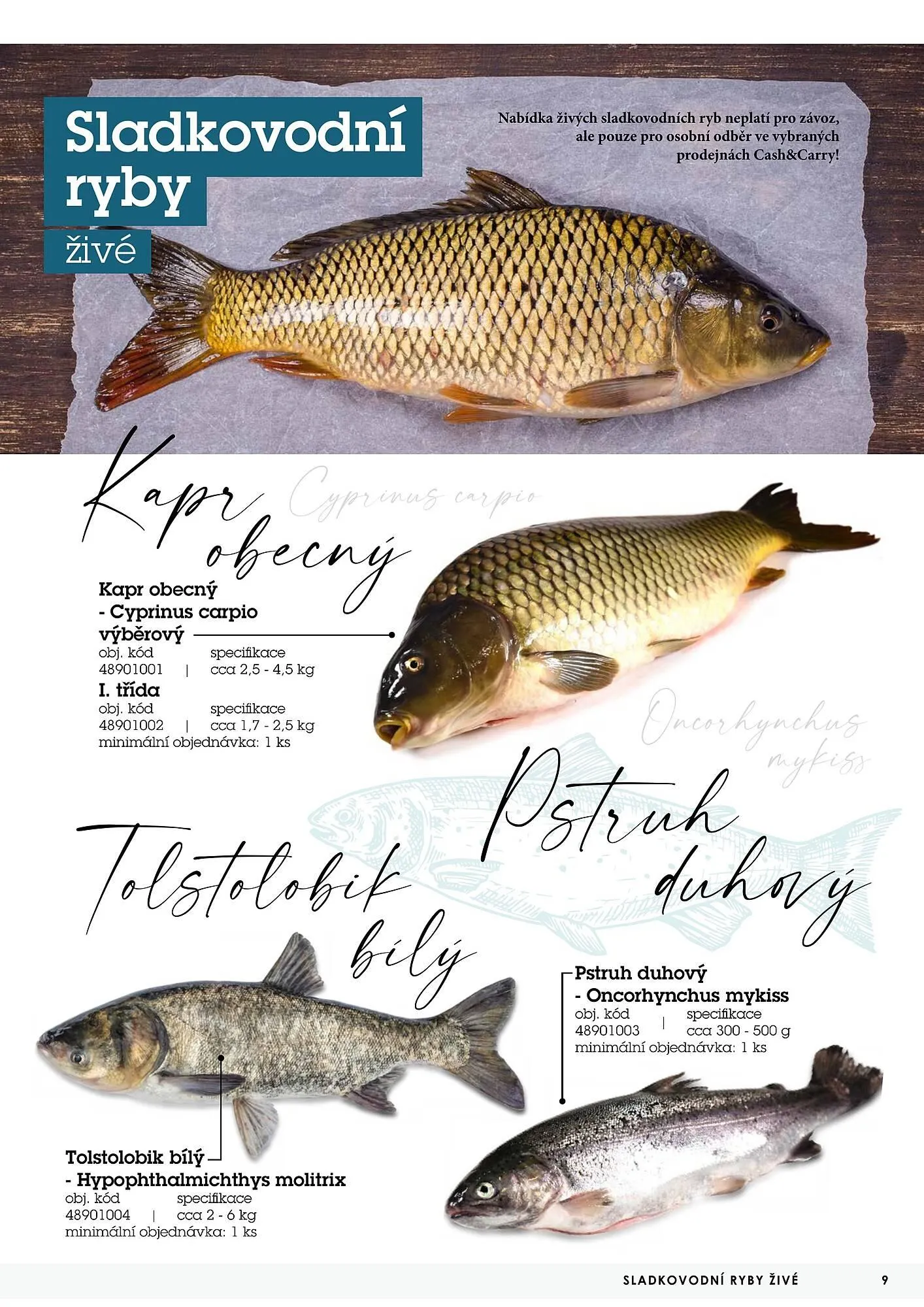 Jip RYBY leták - 22. května 29. prosince 2023 - Page 9