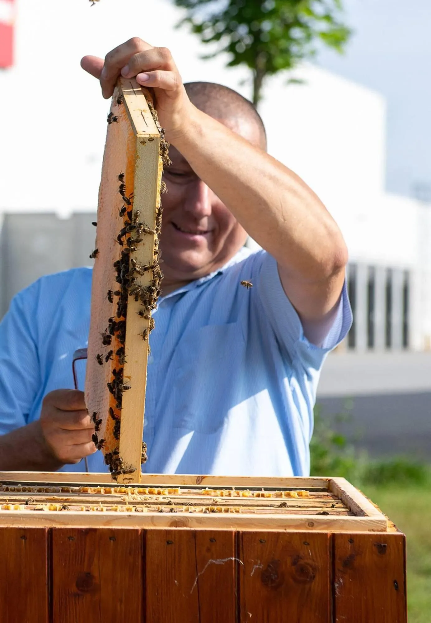 Penny Market leták - 22. listopadu 20. ledna 2026 - Page 45