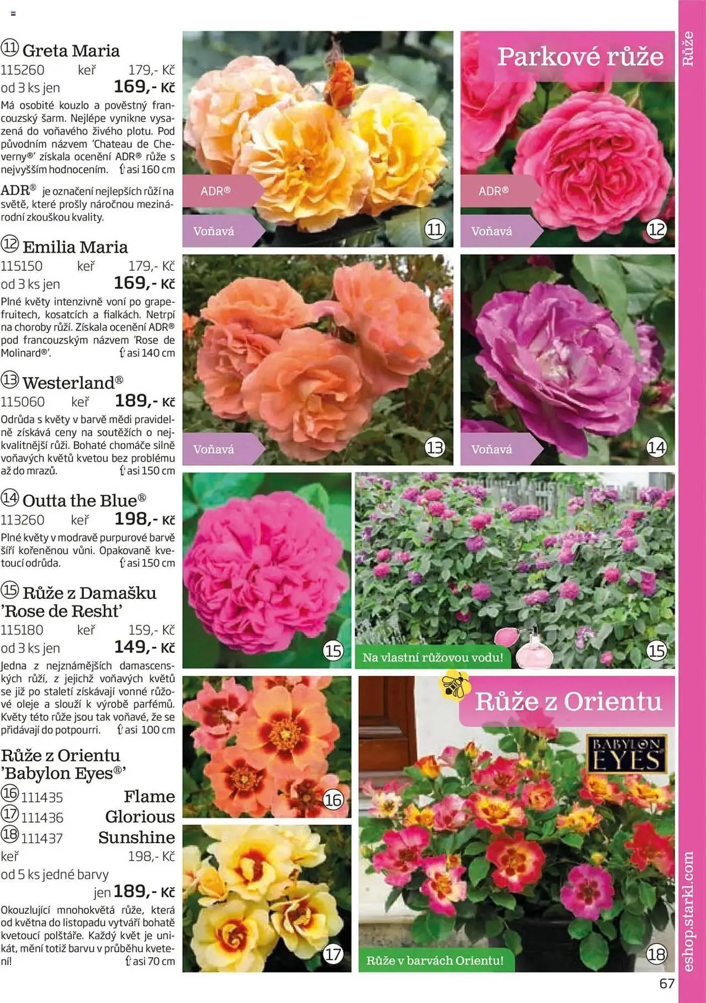 Starkl leták - 1. srpna 30. listopadu 2025 - Page 67