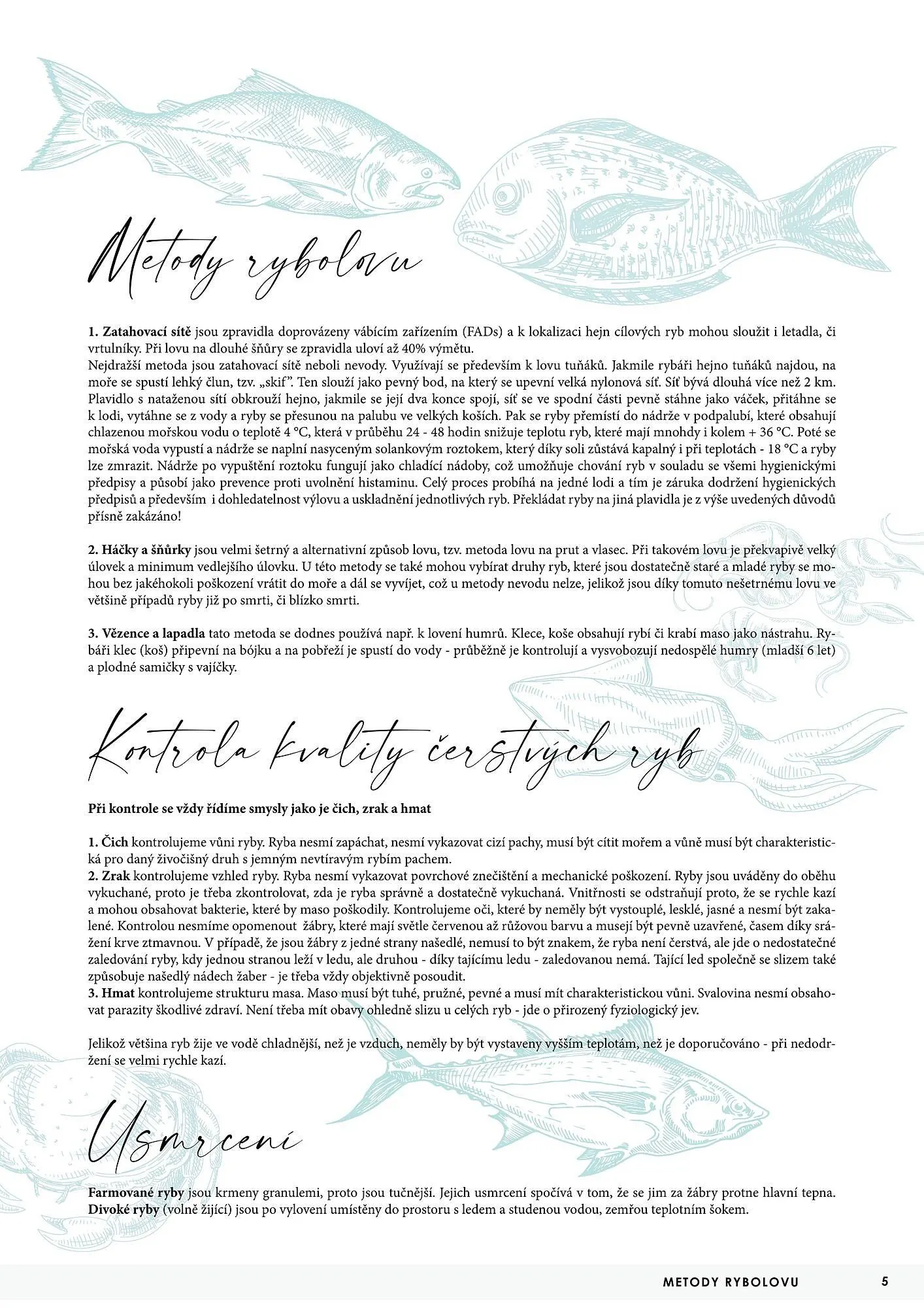 Jip RYBY leták - 22. května 29. prosince 2023 - Page 5