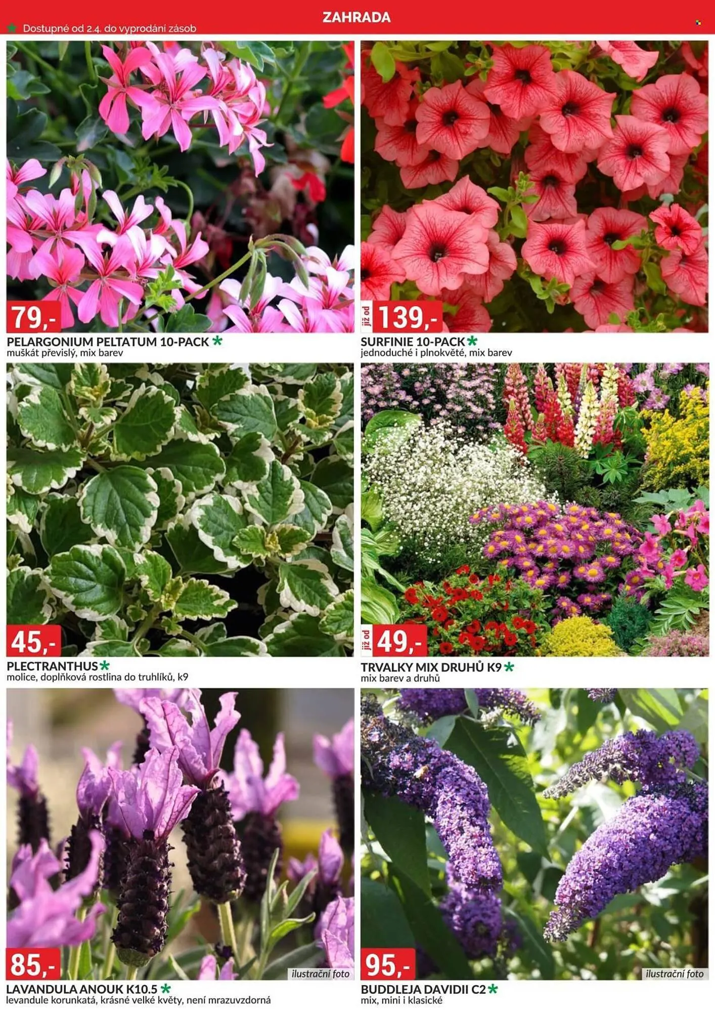 Baumax leták - 1. dubna 30. dubna 2026 - Page 2