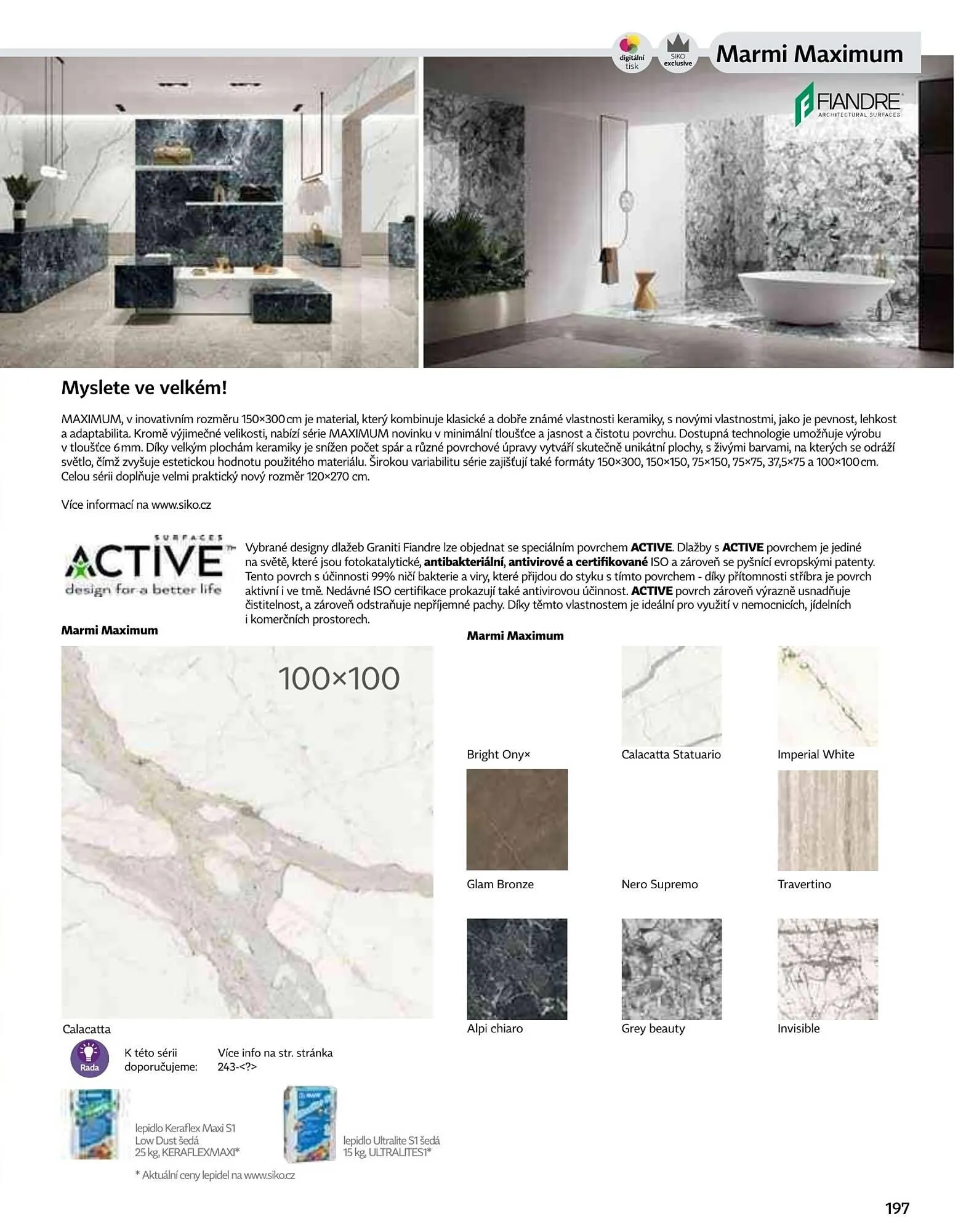 Siko leták - 6. září 31. prosince 2026 - Page 197