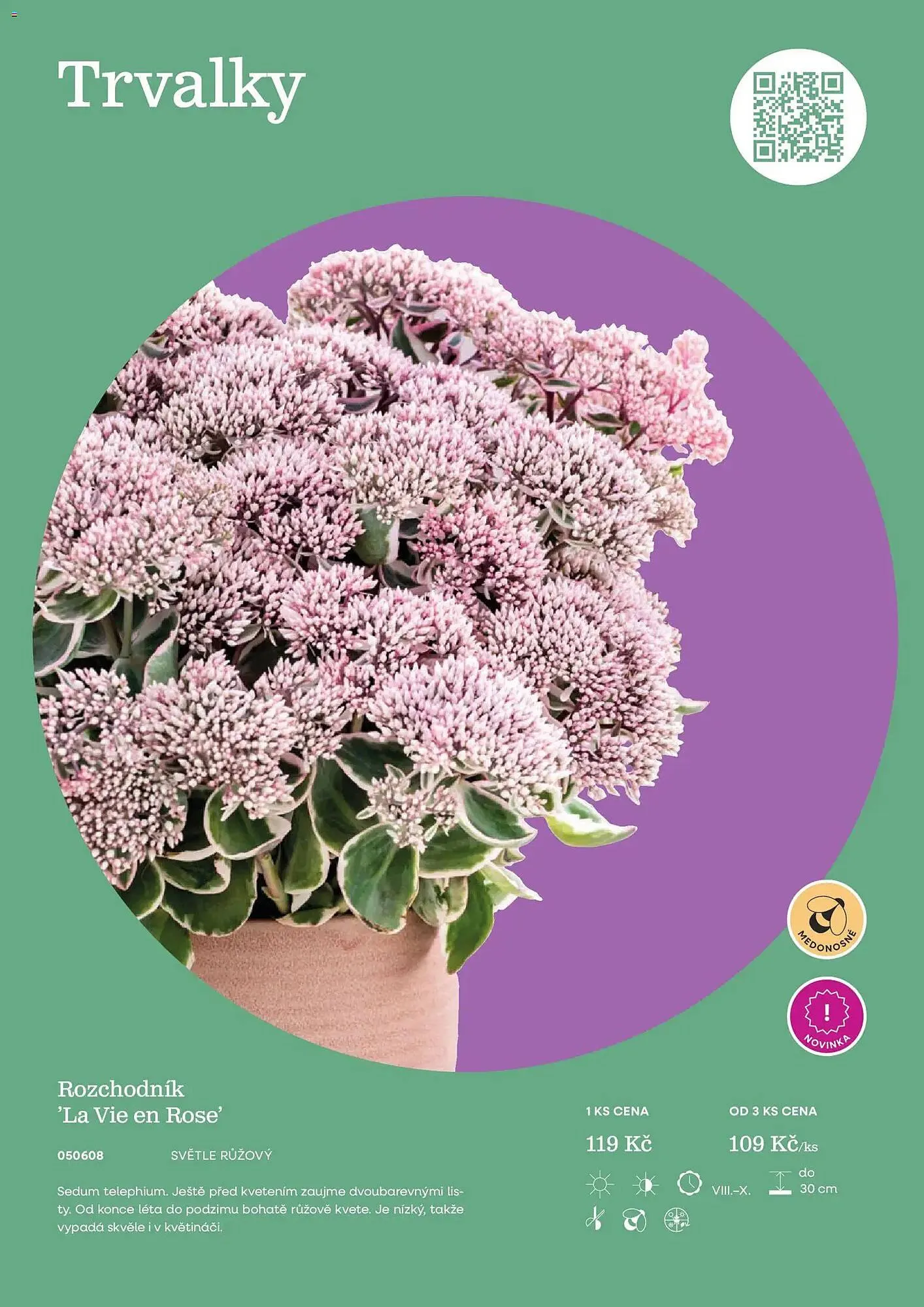 Starkl katalog - 25. února 31. prosince 2026 - Page 55