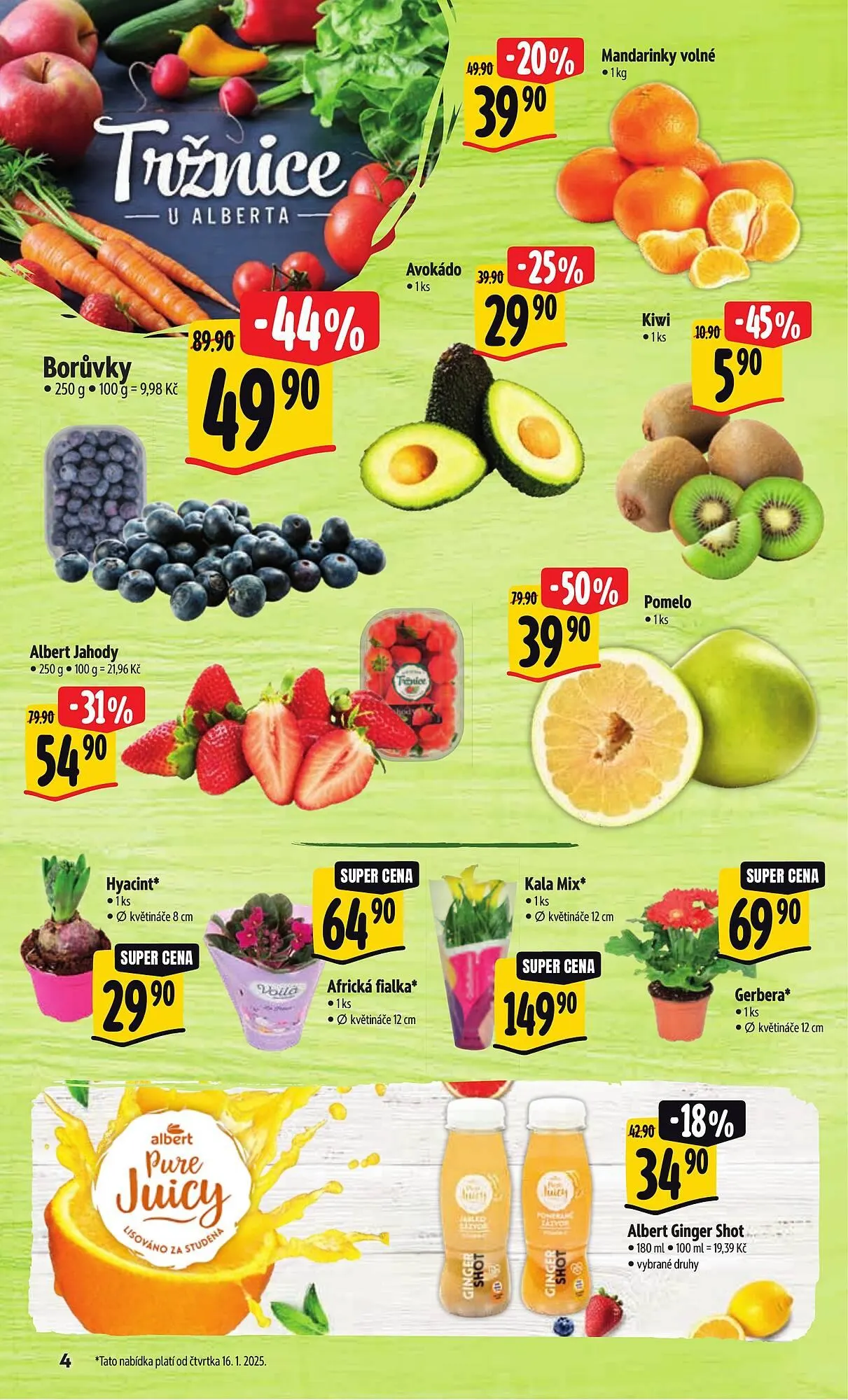 Albert leták - 15. ledna 11. února 2025 - Page 9